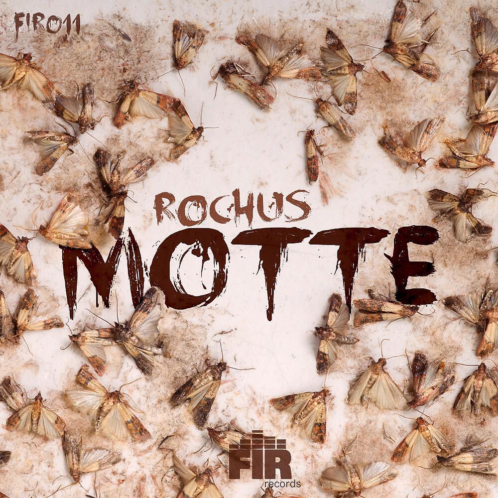 Релиз Motte