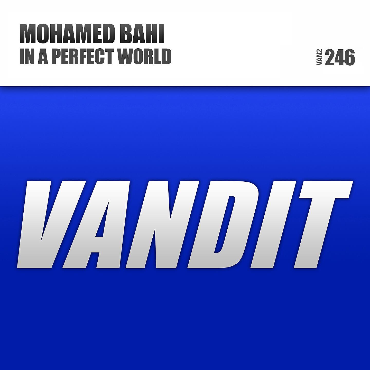 Релиз In a Perfect World