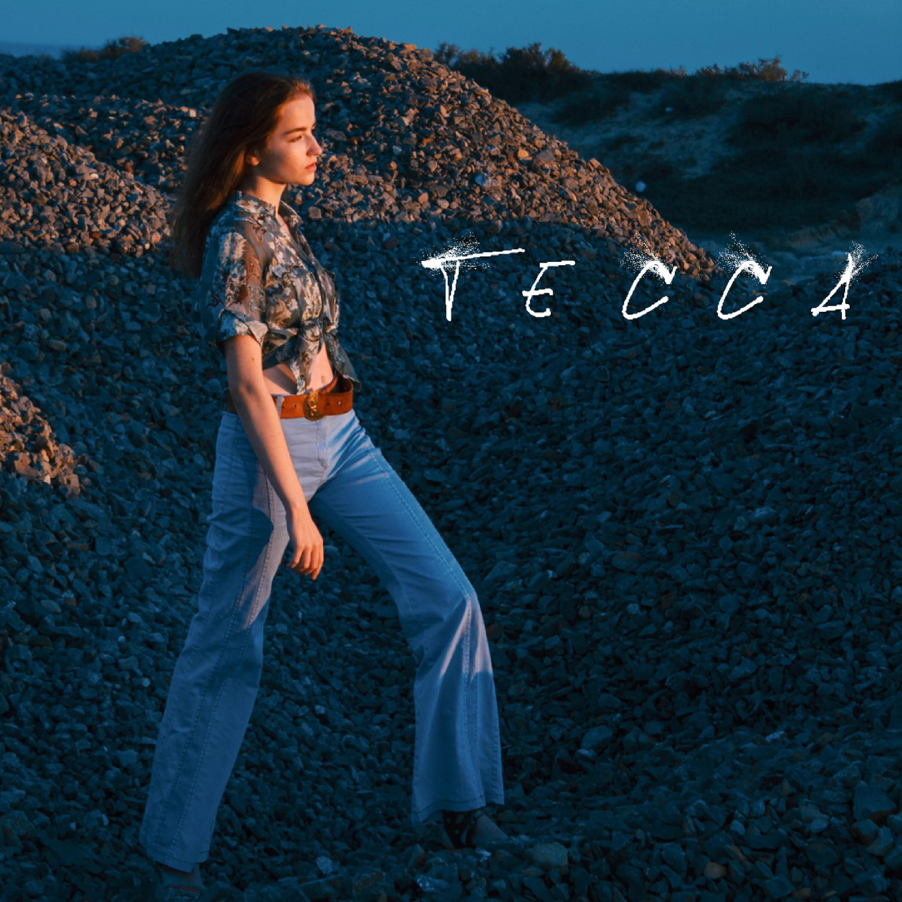 Постер альбома Тесса