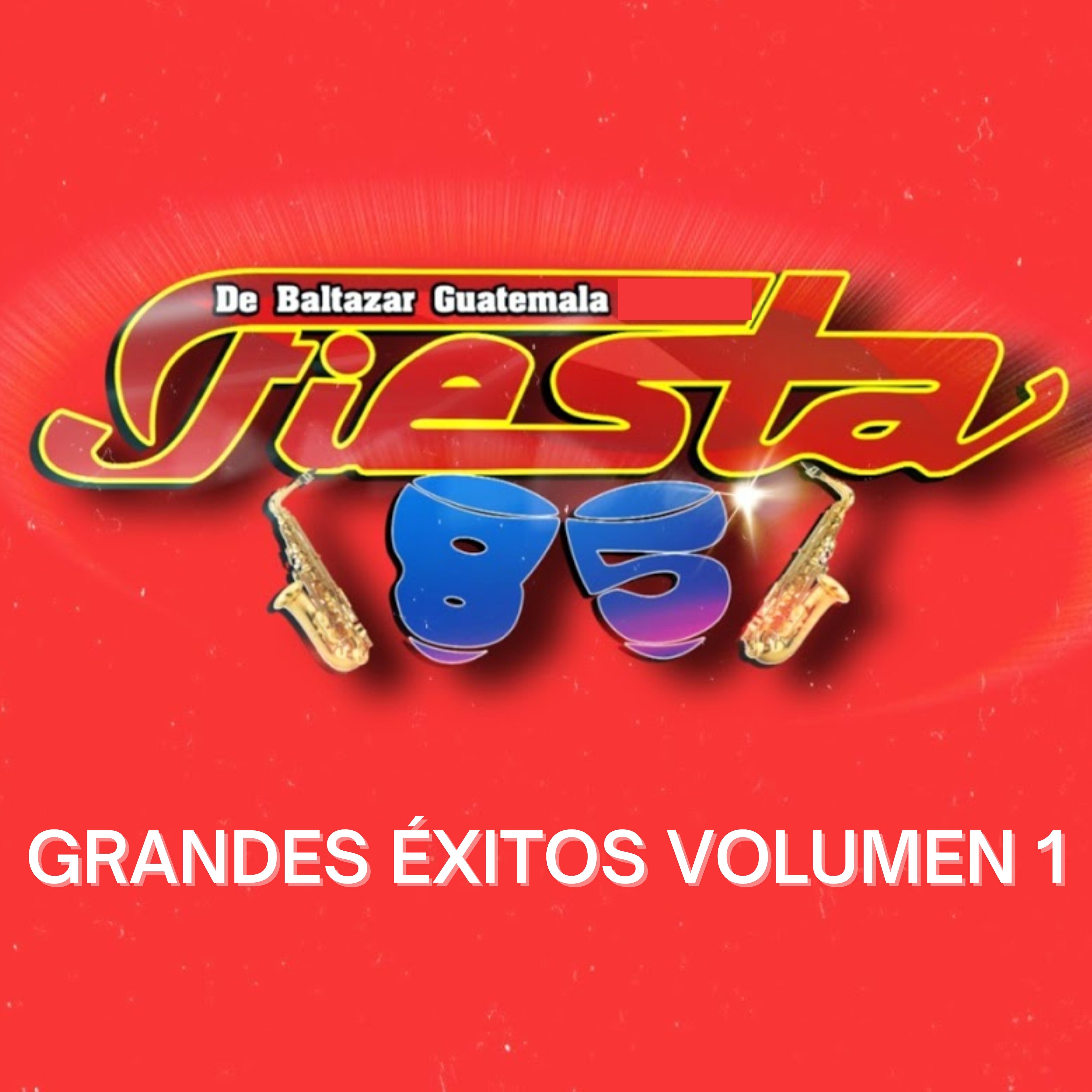 Fiesta 85 De Baltazar Guatemala