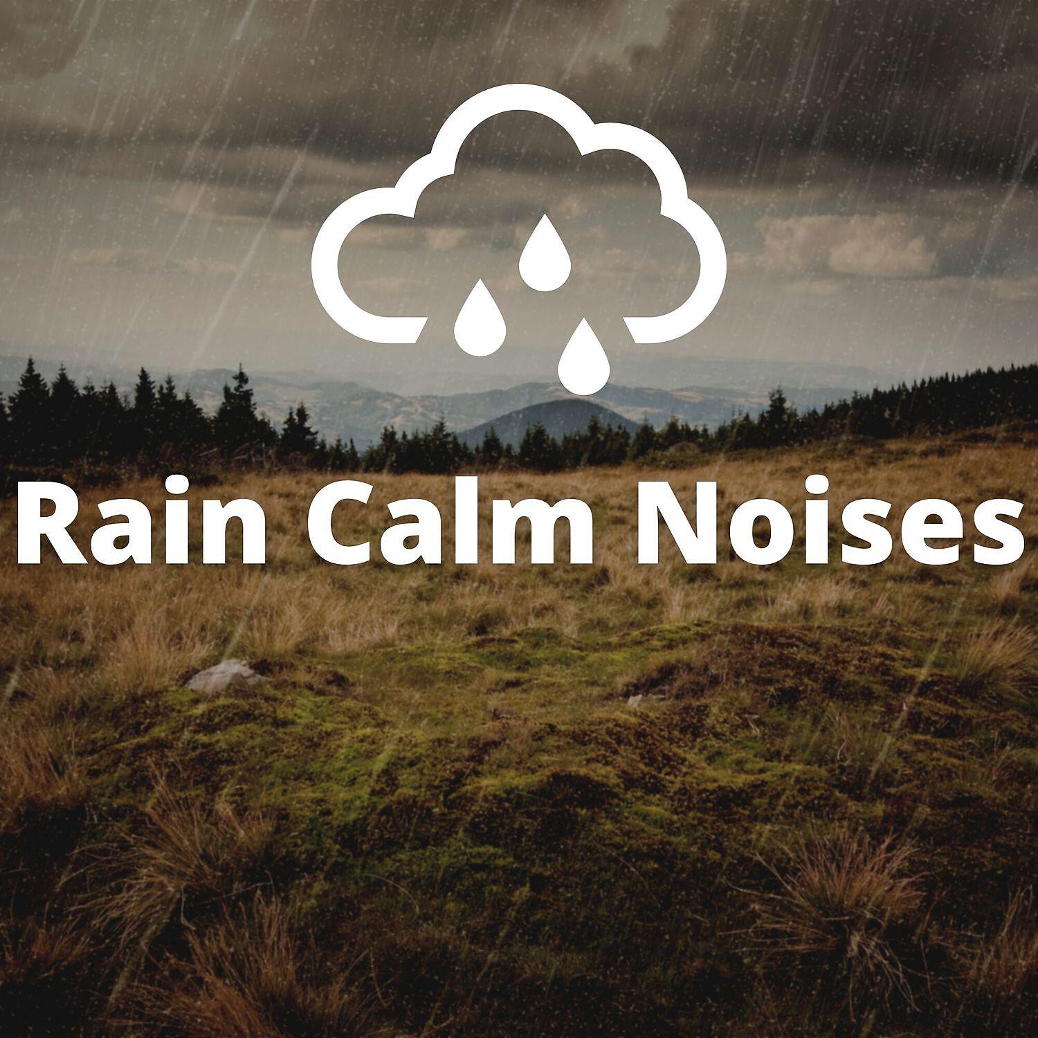 Постер альбома Rain Calm Noises