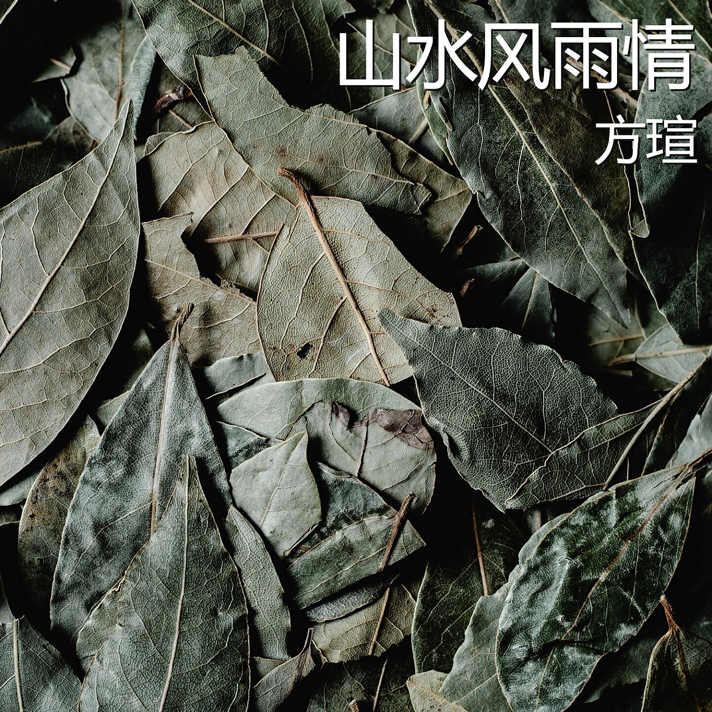 Релиз 山水风雨情