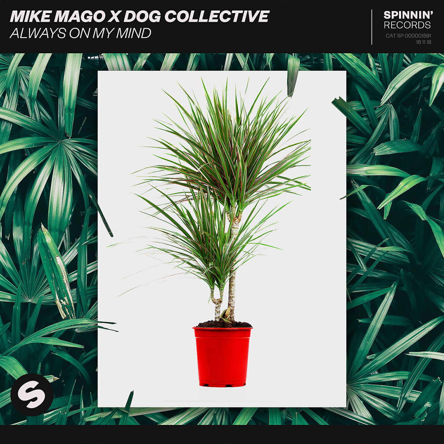 Скачать песню Mike Mago, Dog Collective - Always On My Mind бесплатно в MP3 для Android и iOS