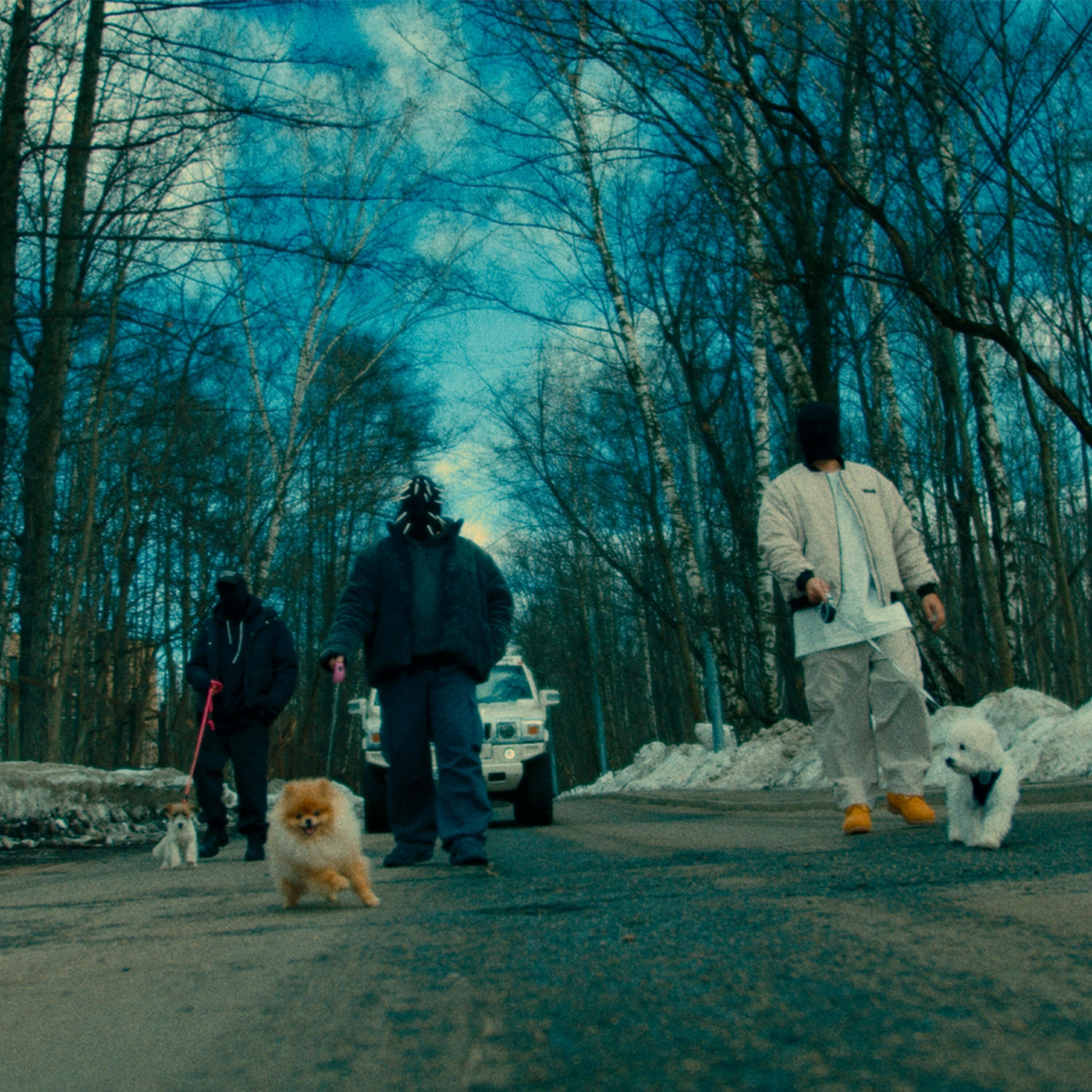 Релиз Romantic Puppies