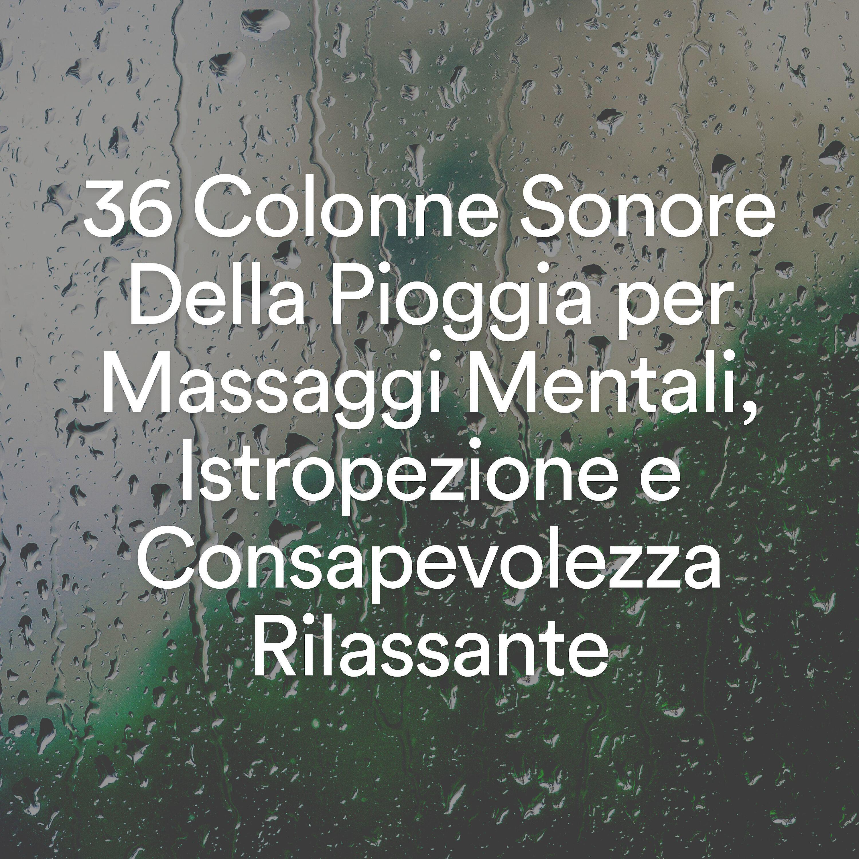 Релиз 36 Colonne Sonore Della Pioggia per Massaggi Mentali, Istropezione e Consapevolezza Rilassante