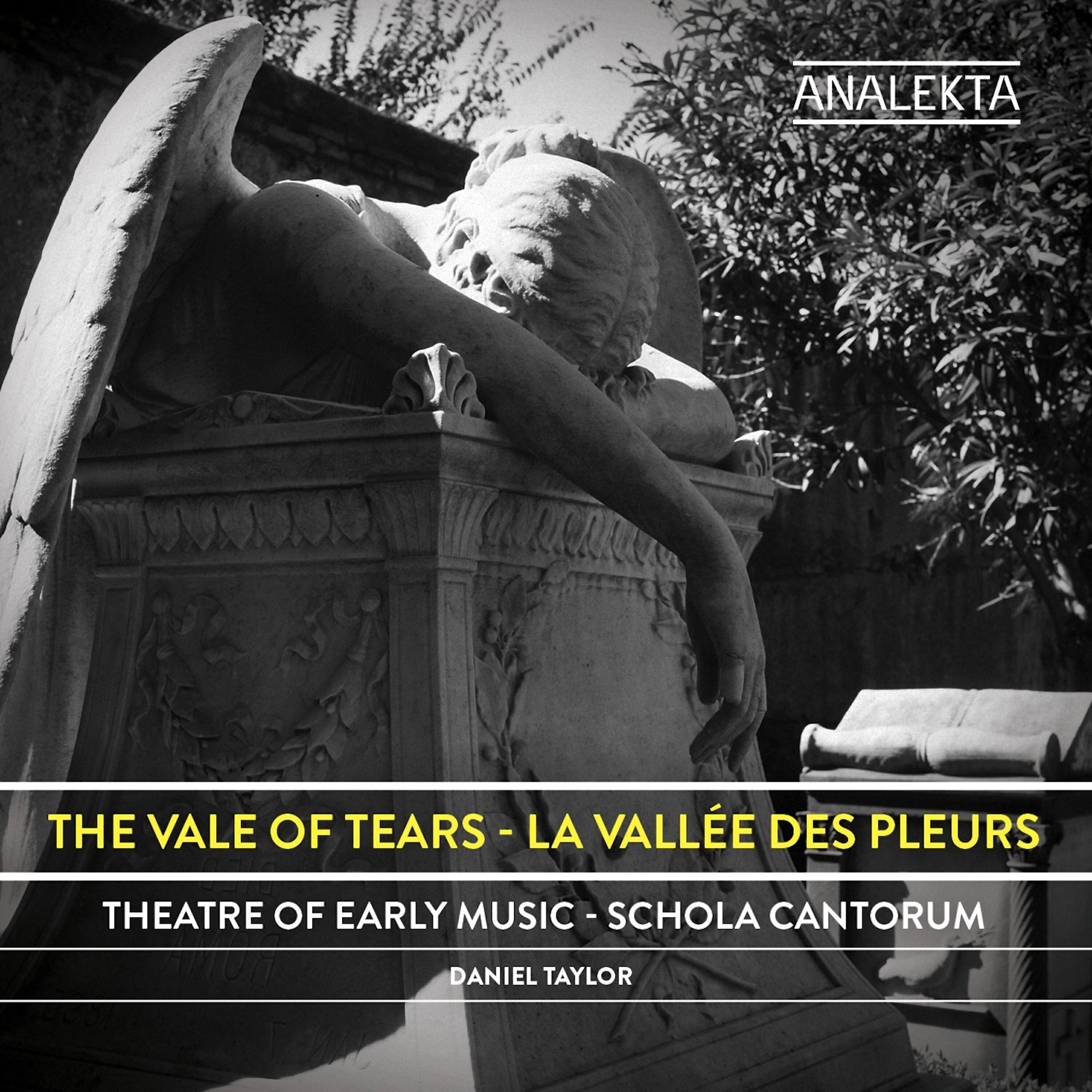 Релиз The Vale of Tears