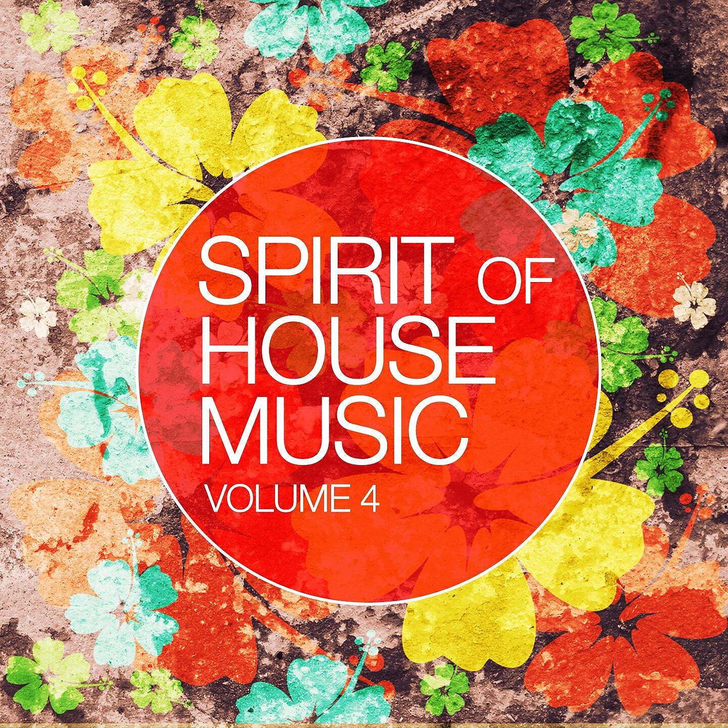 Релиз Spirit Of House Music, Vol. 4