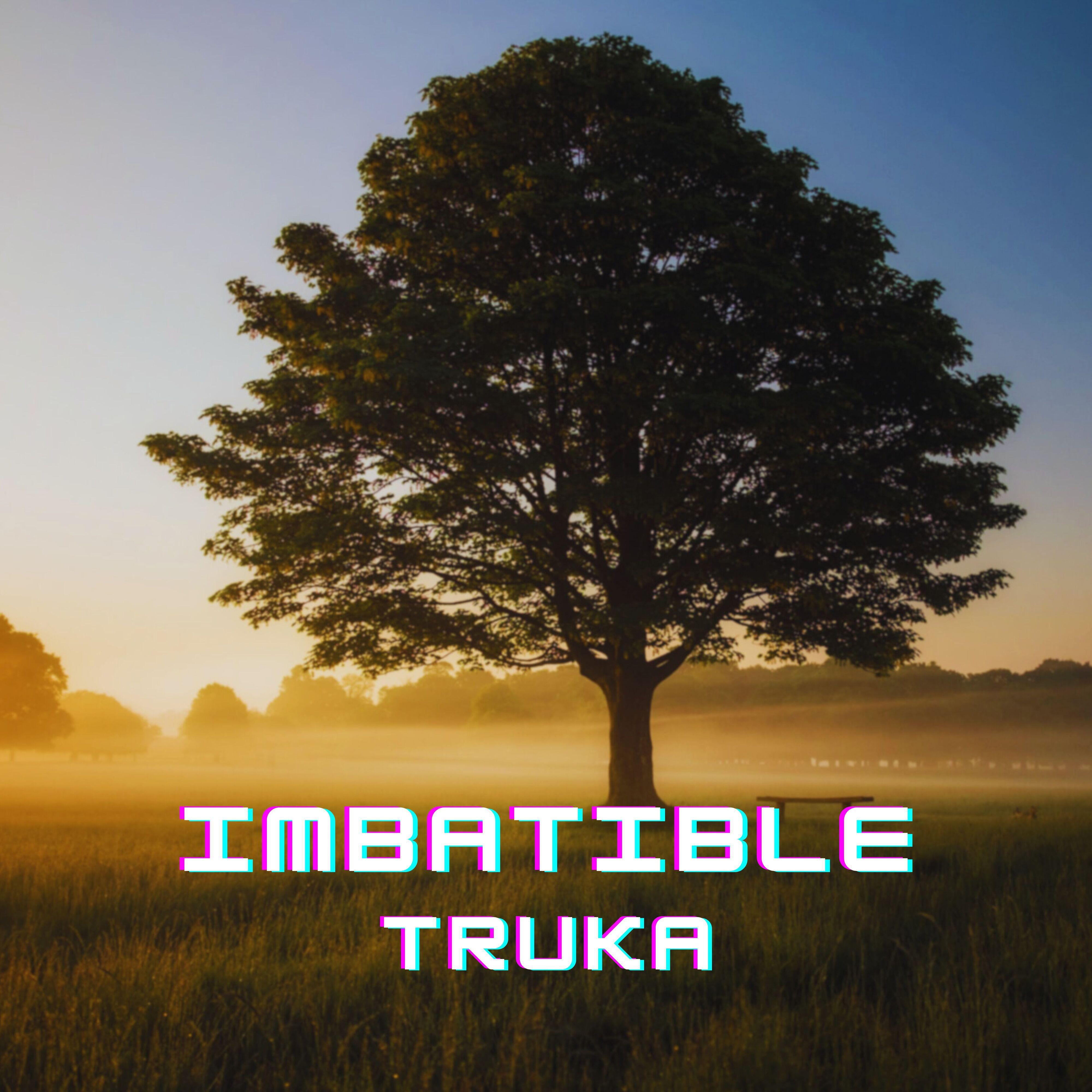 Релиз Imbatible