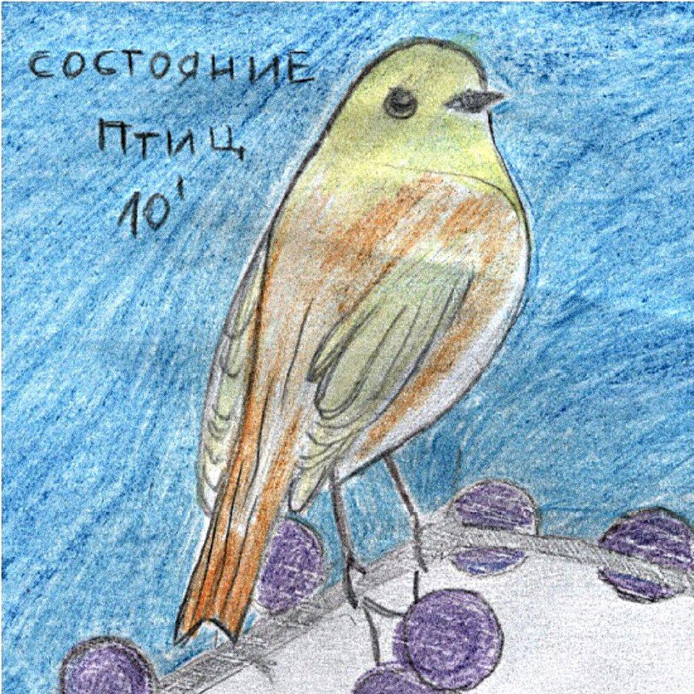 Состояние птиц