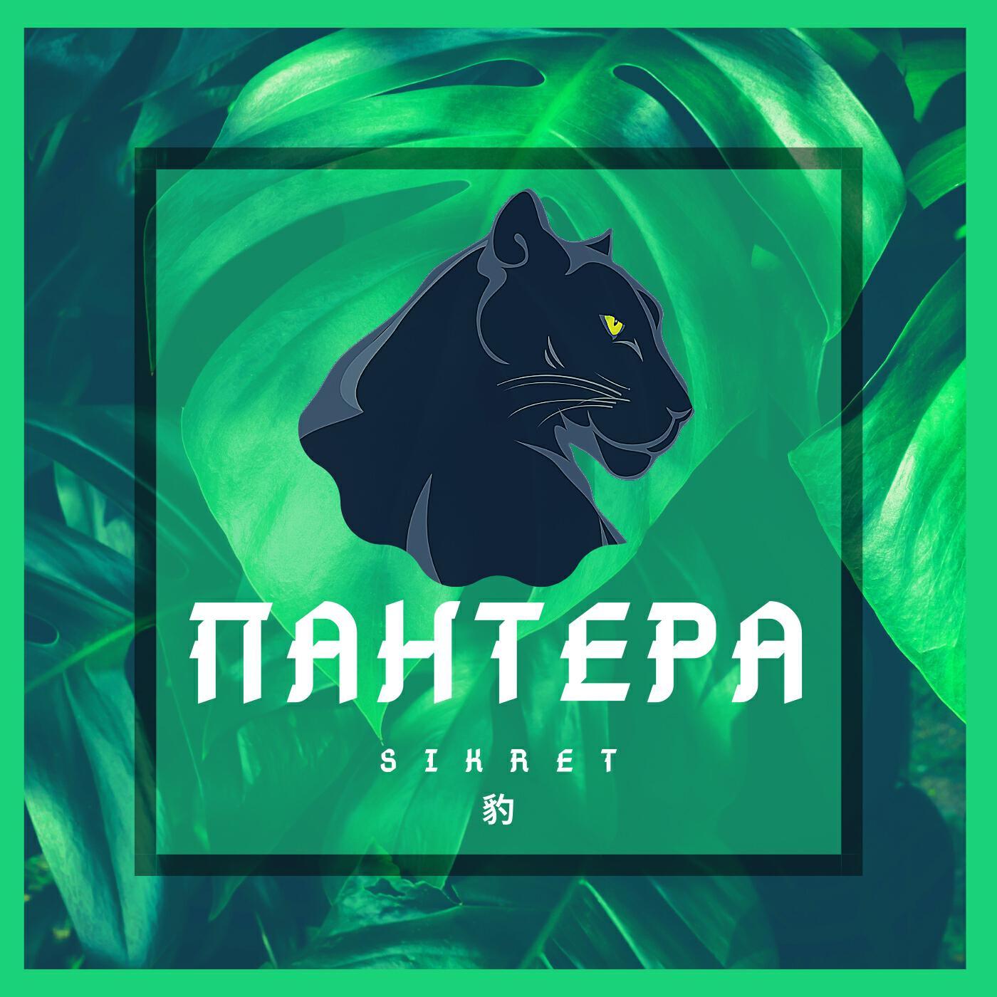 Релиз Пантера