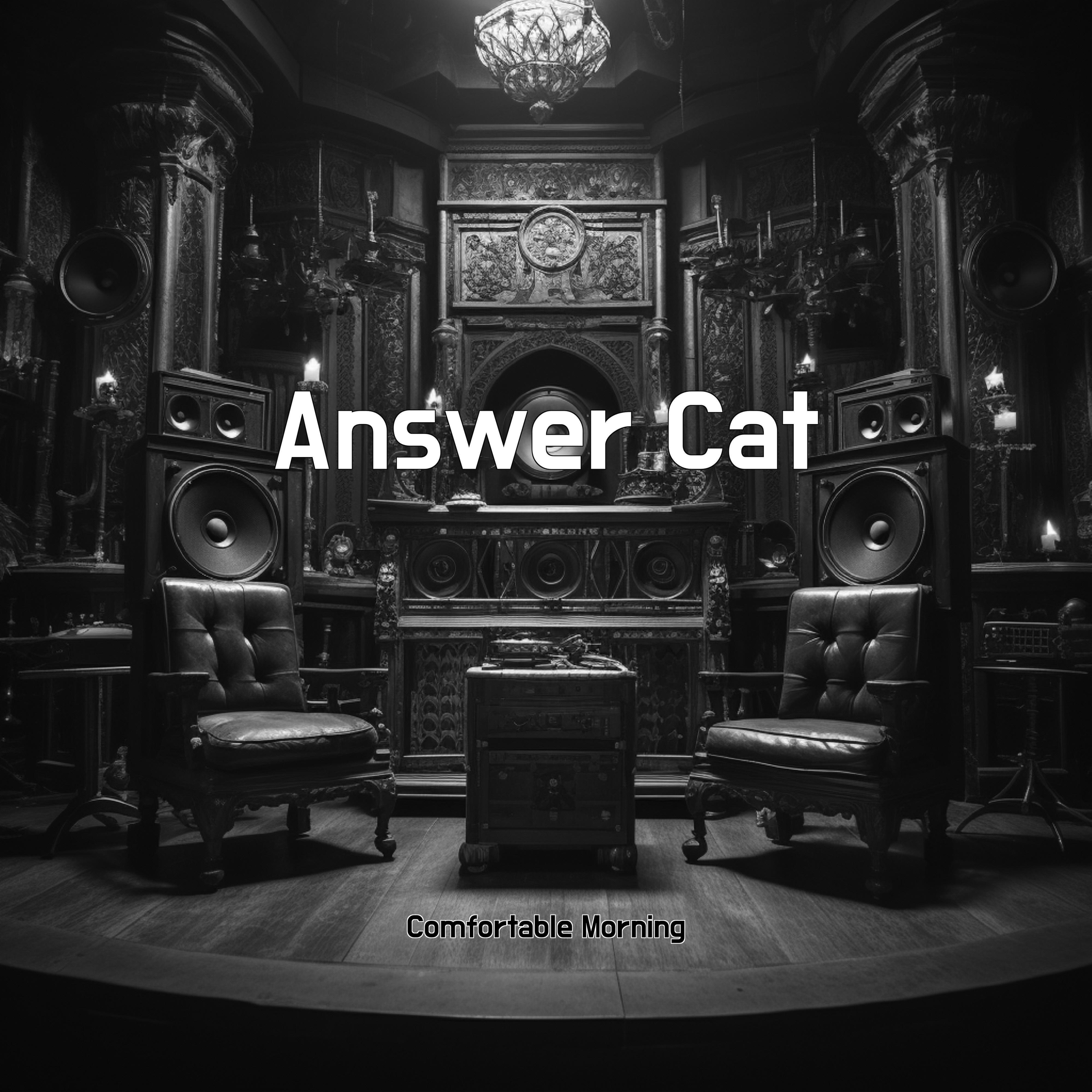 Постер альбома Answer Cat