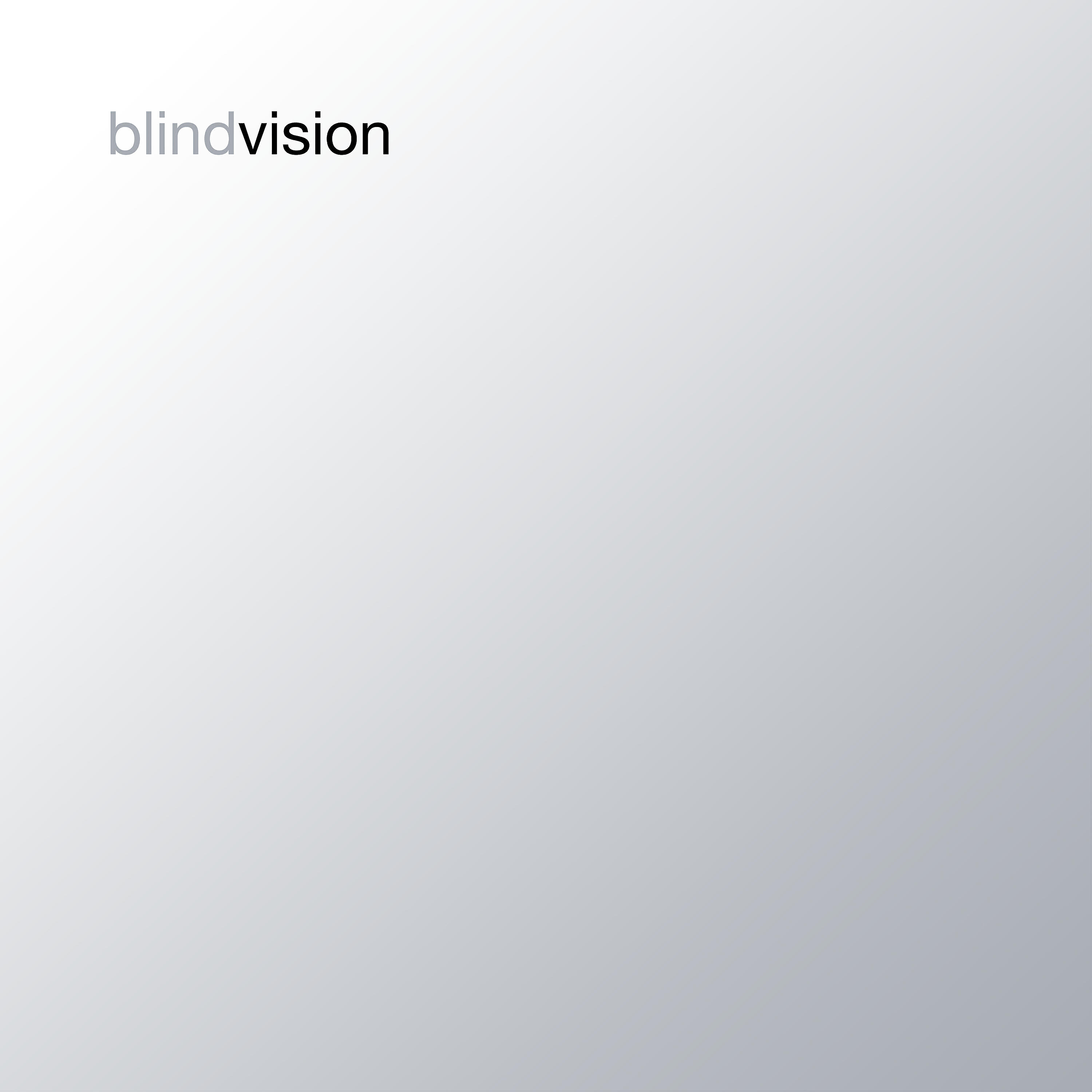 Релиз Blind Vision