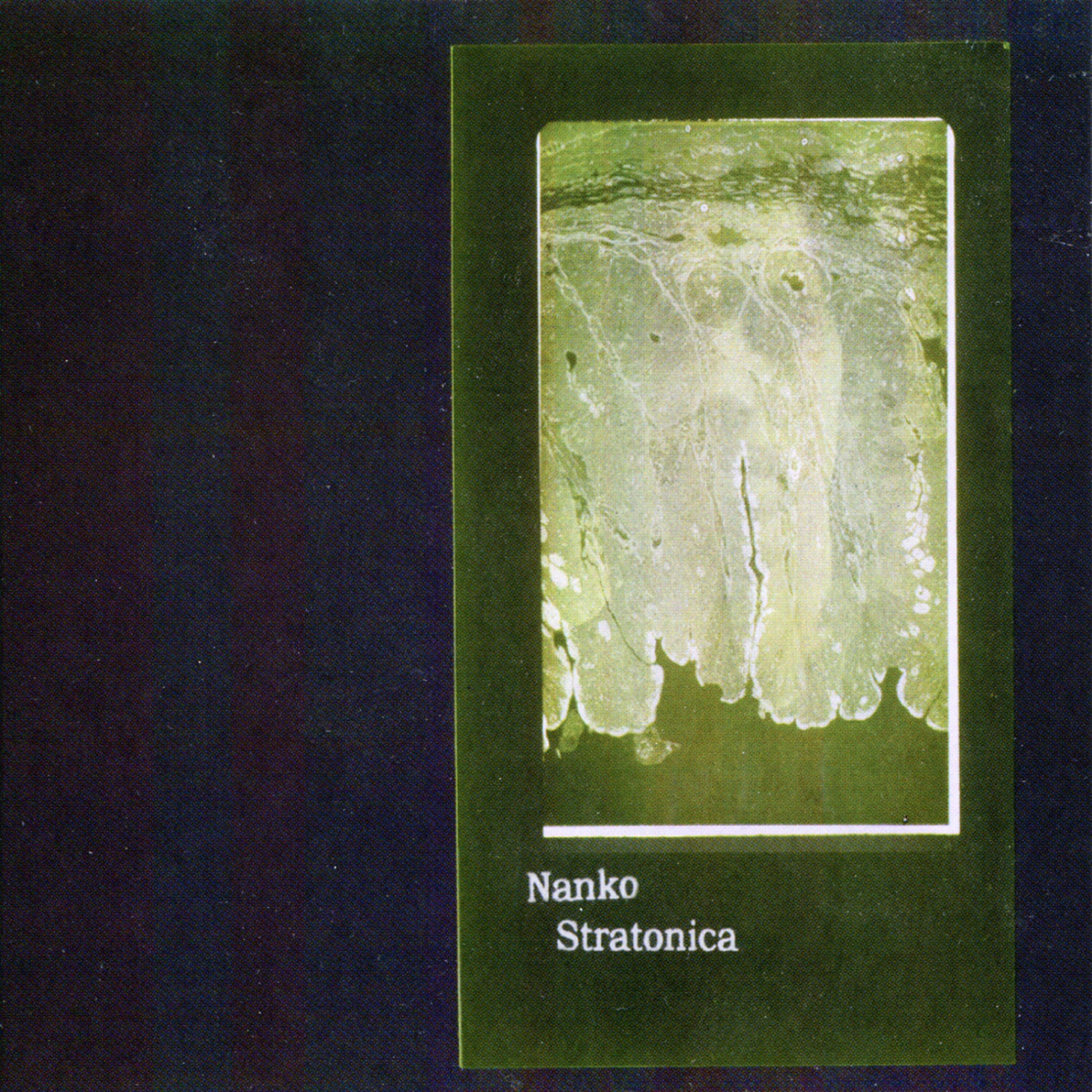 Релиз Stratonica