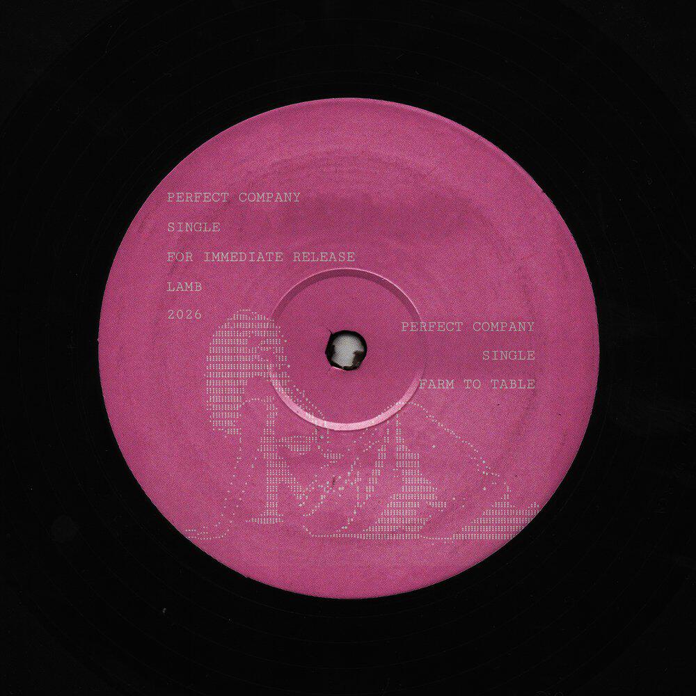 Релиз perfect company