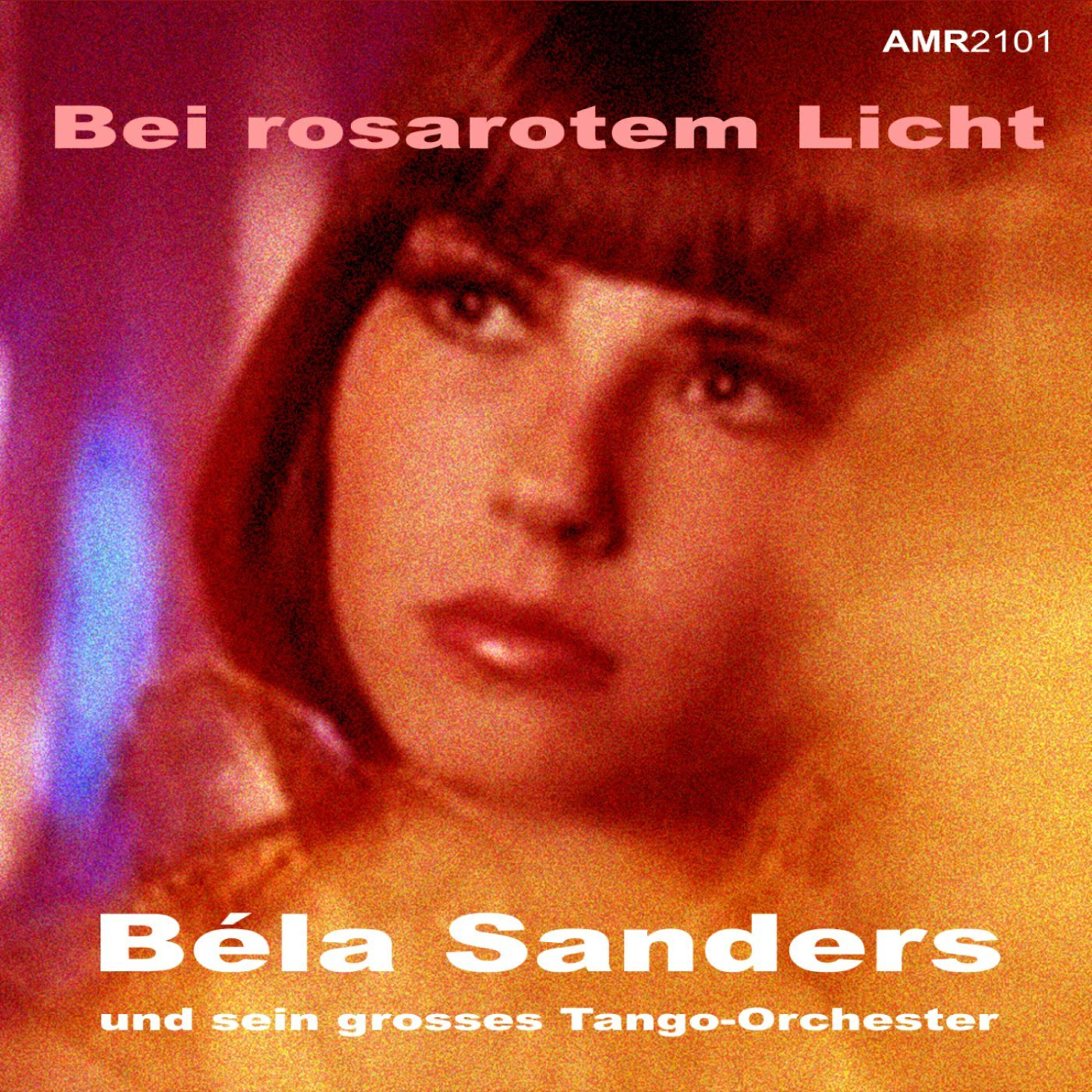 sein grosses Tango-Orchester