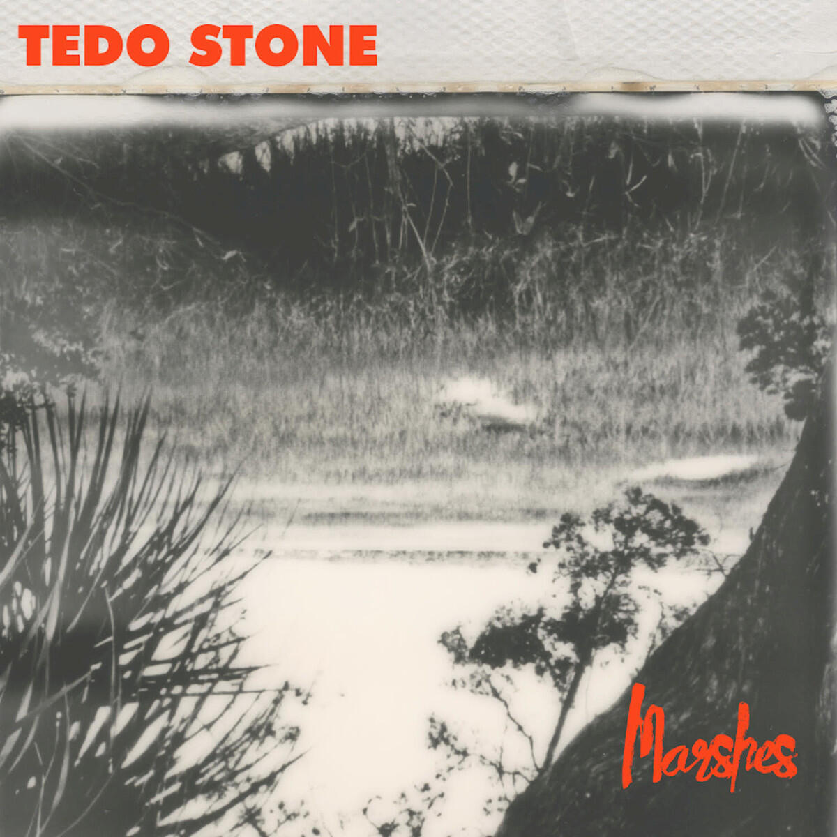 Релиз Marshes