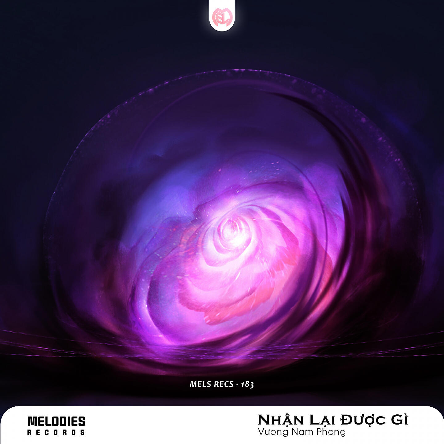 Постер альбома Nhận Lại Được Gì