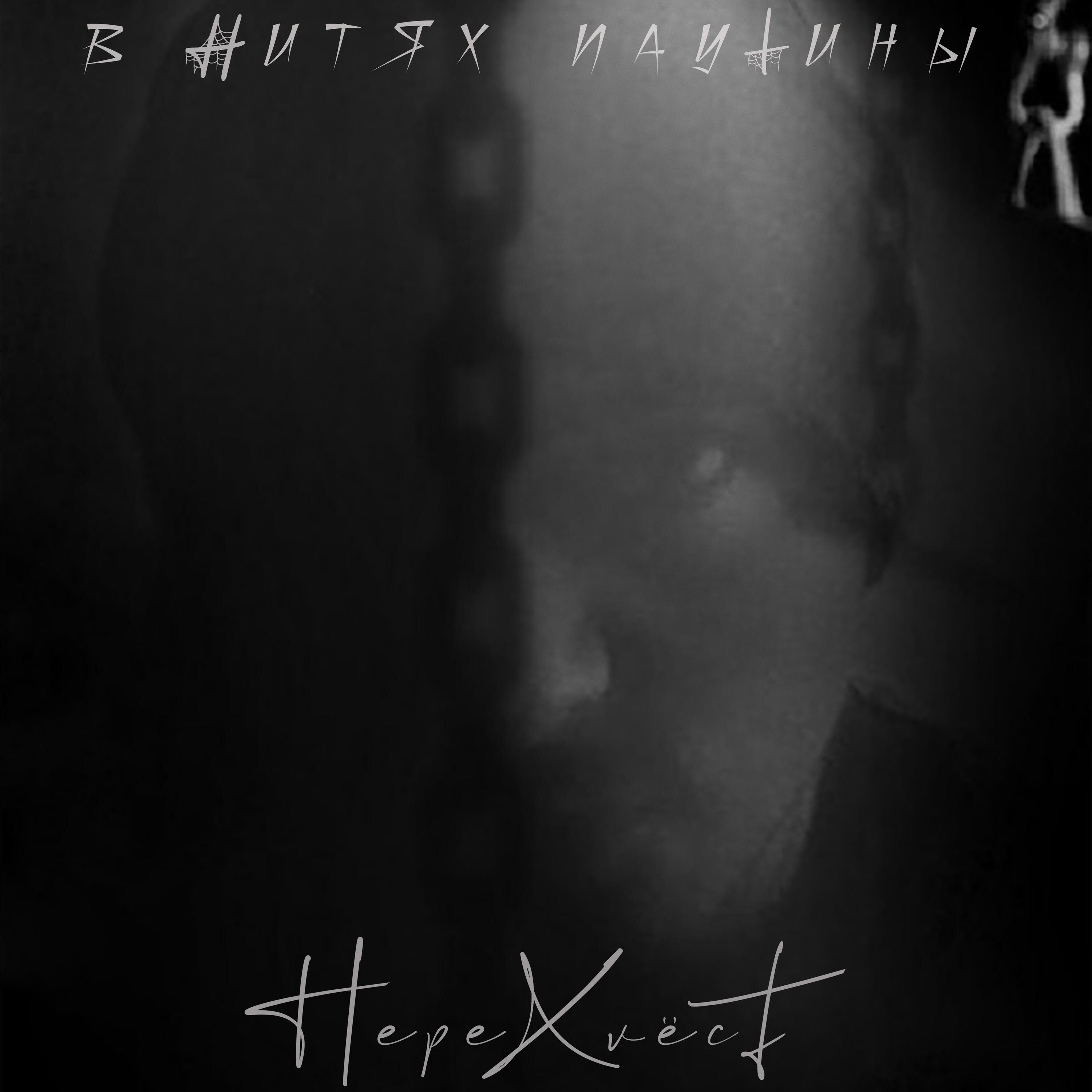 Релиз В нитях паутины