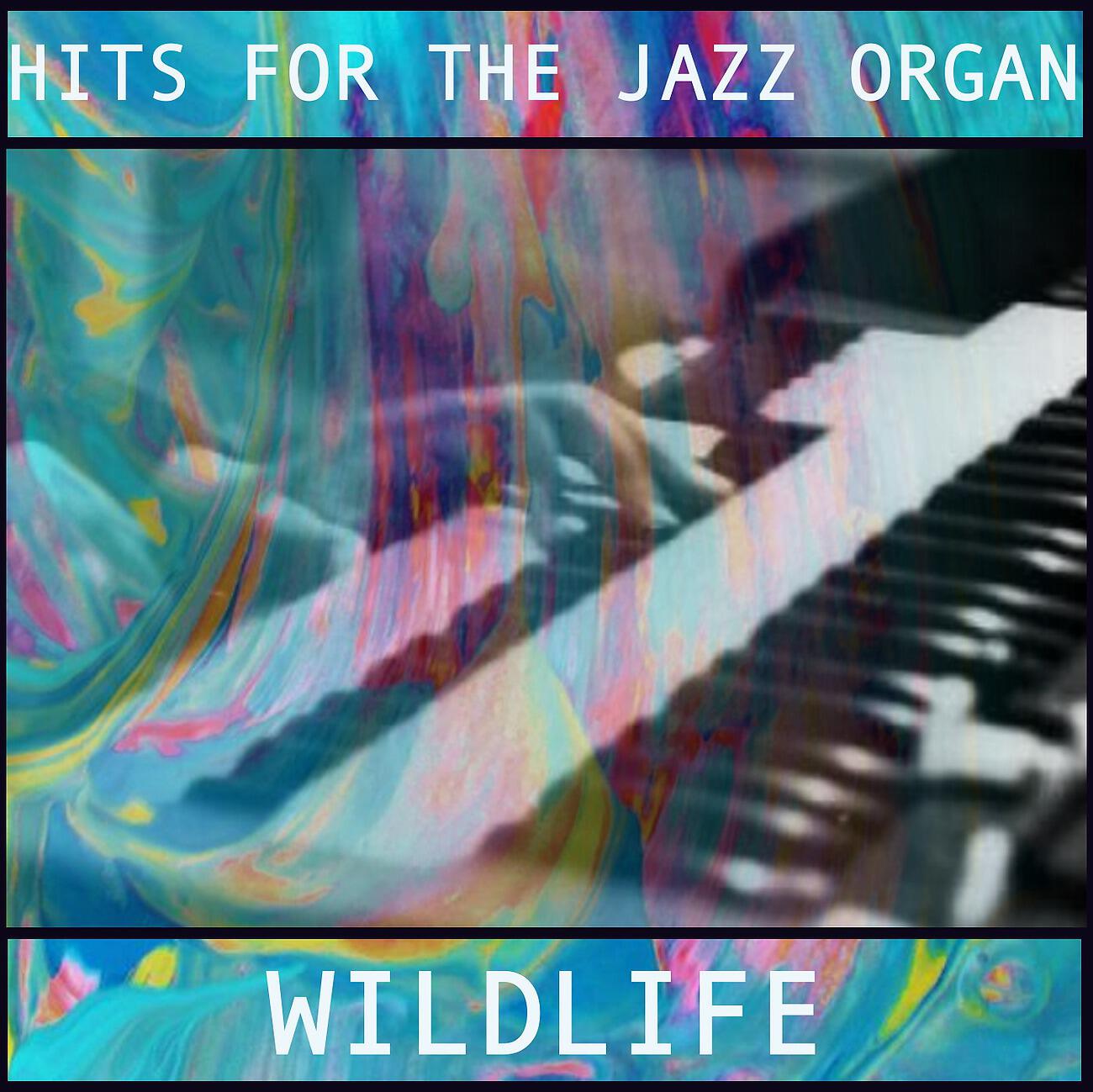 Релиз Hits for the Jazz Organ