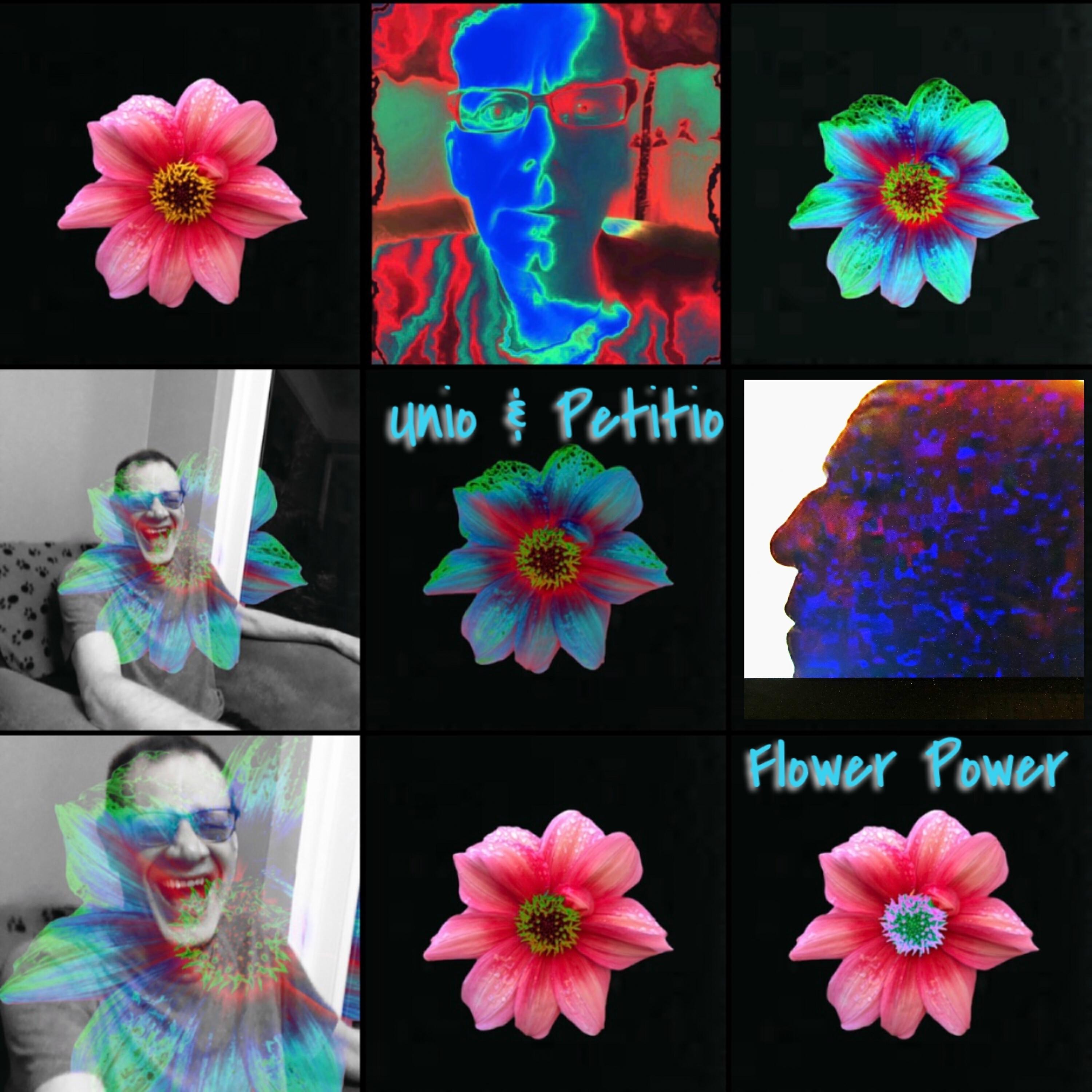Релиз Flower Power