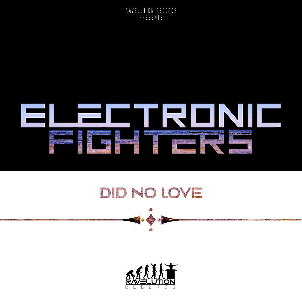 Electronic Fighters