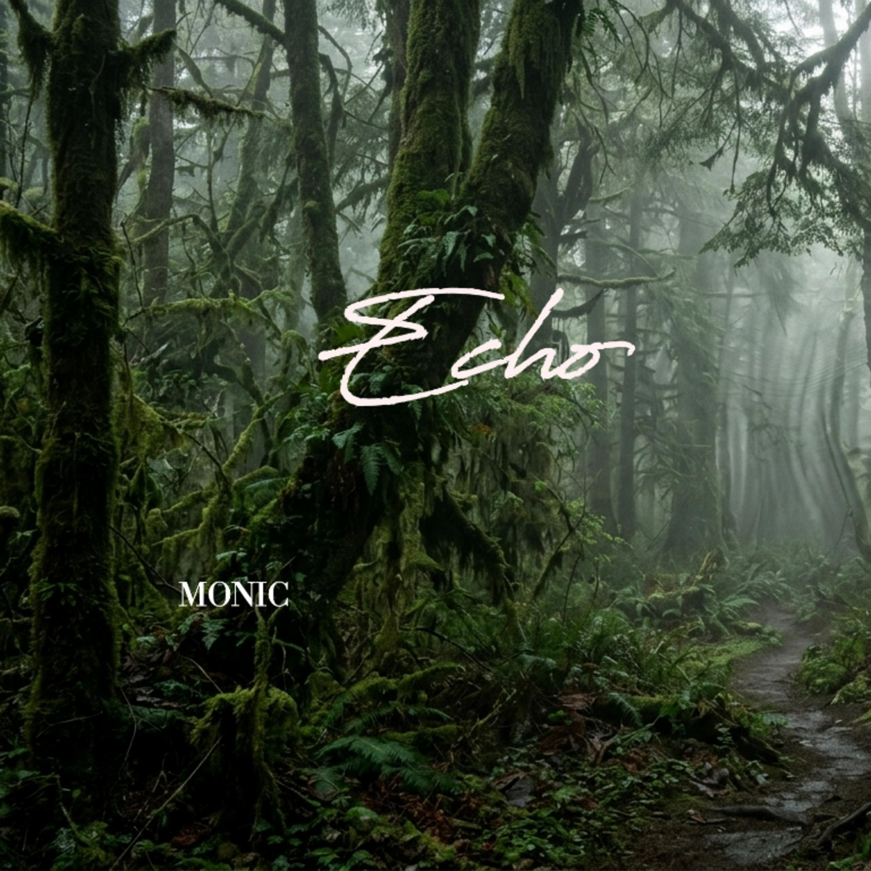 Трек Echo