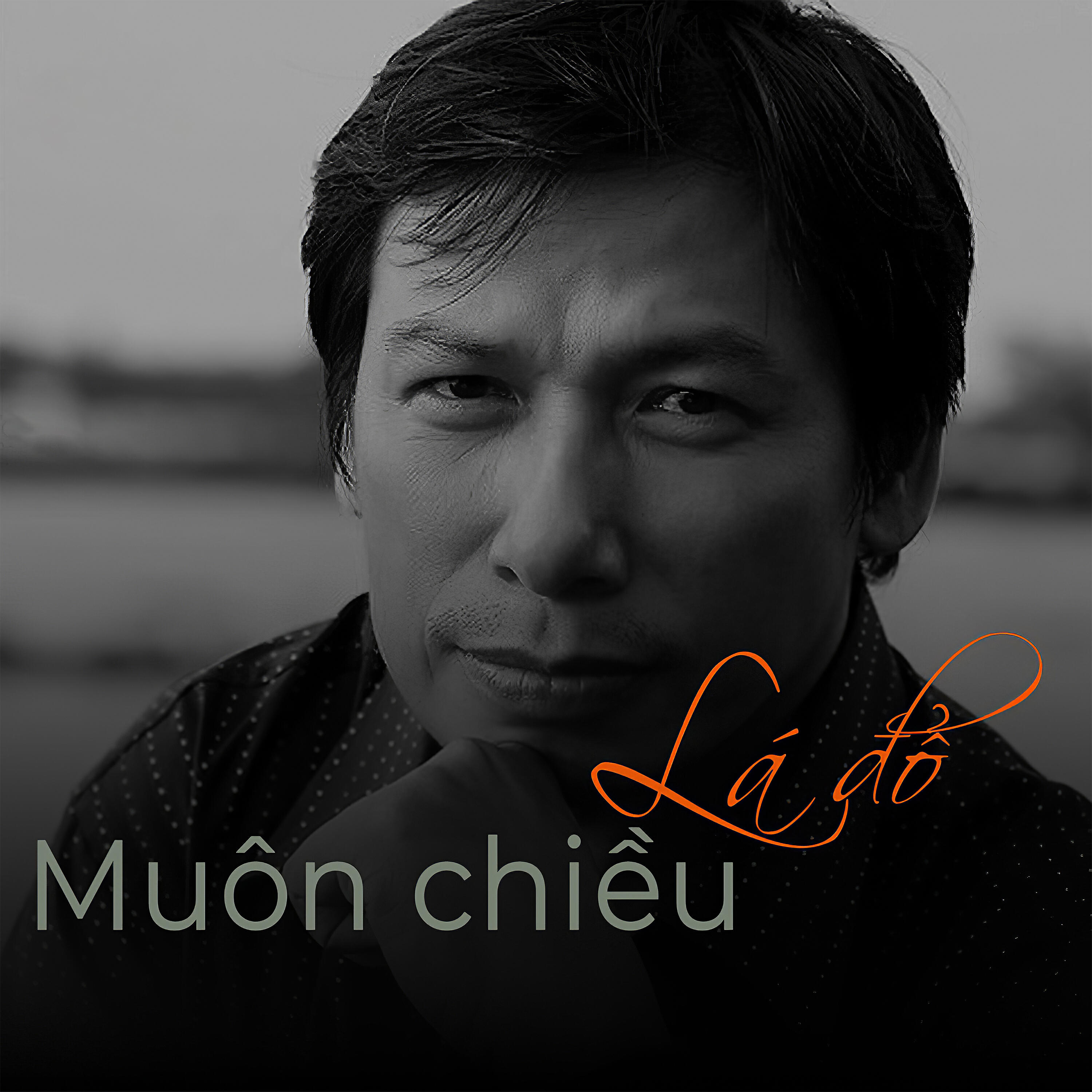 Релиз Lá Đổ Muôn Chiều