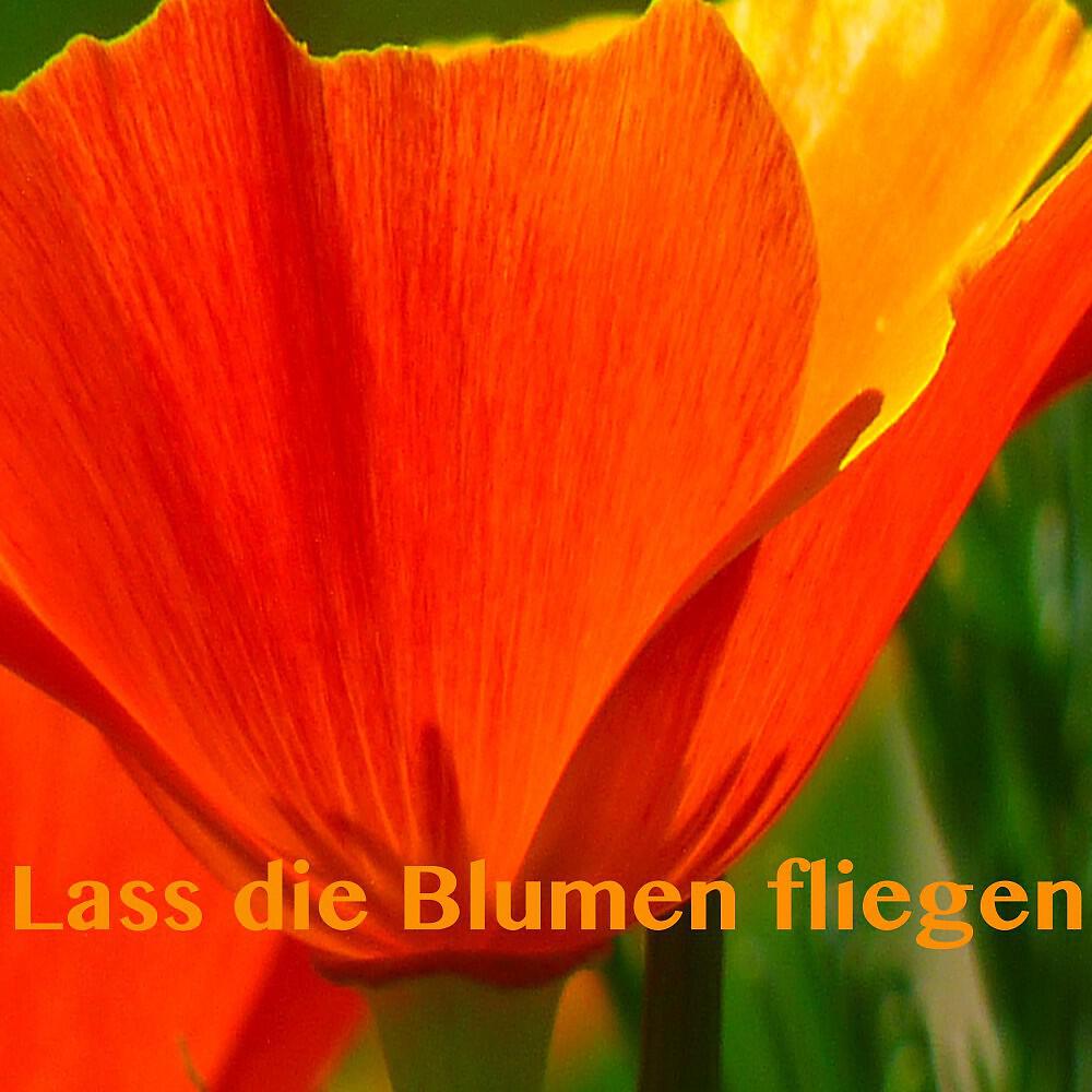 Die Ohrenbärte