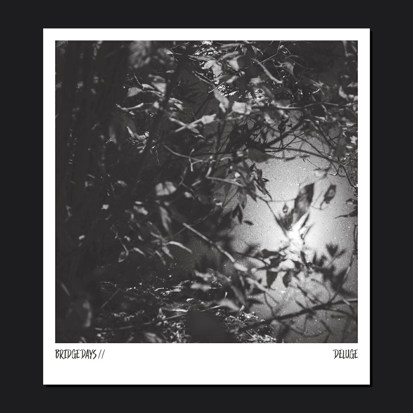 Релиз Deluge
