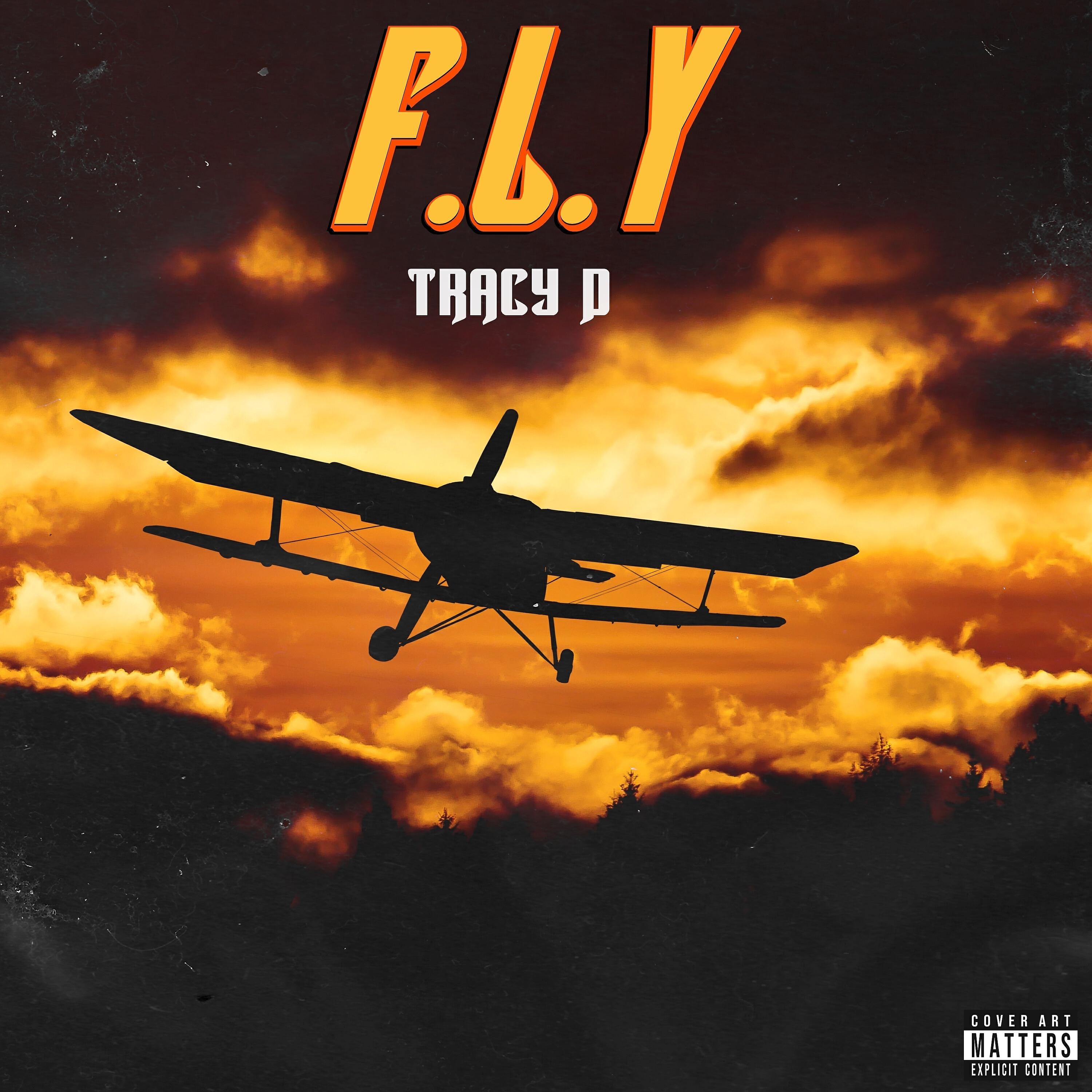 Релиз F.L.Y