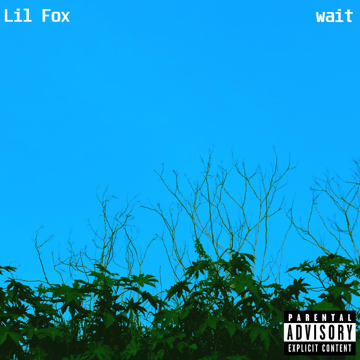 Релиз wait