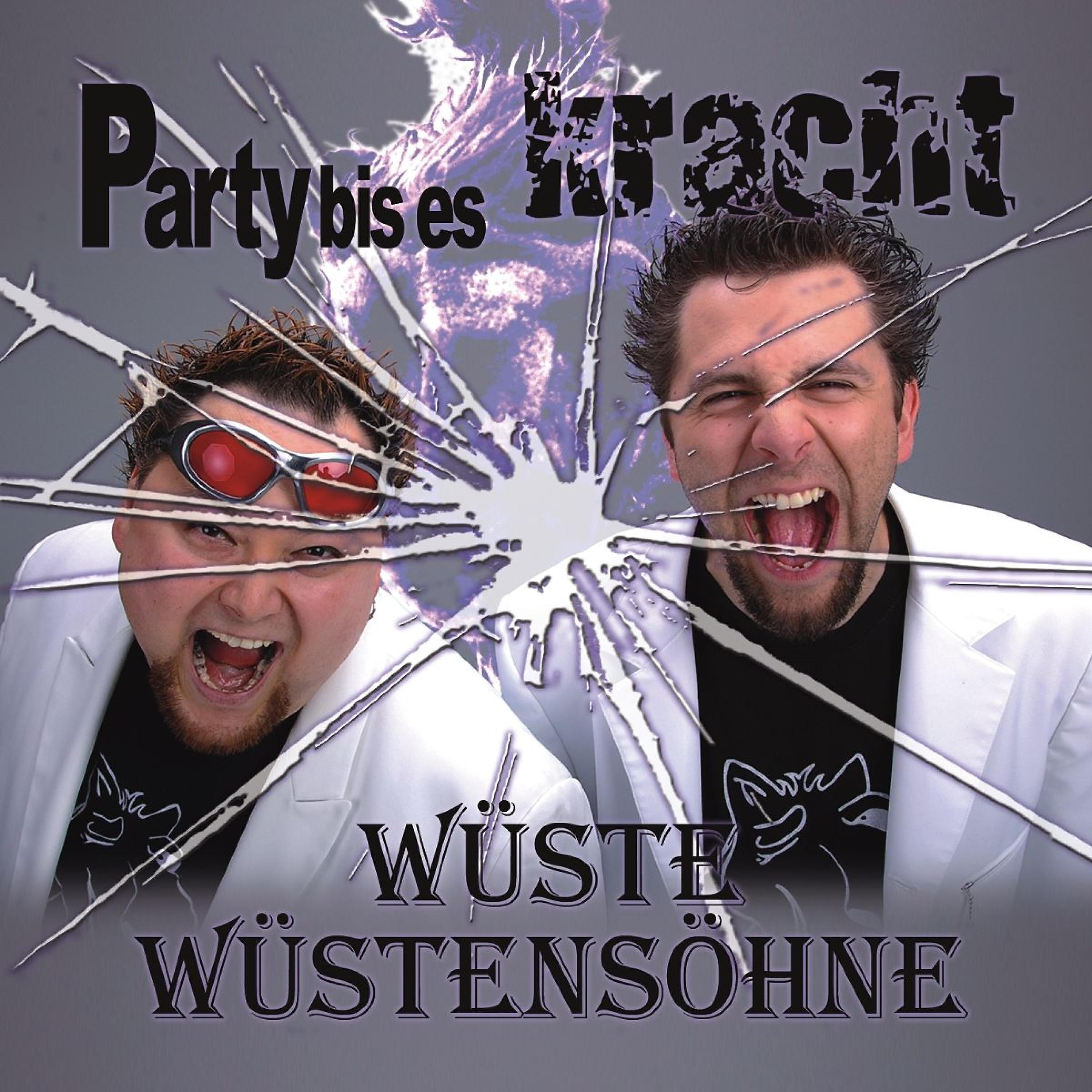 Трек So ein schöner Tag (Das Fliegerlied)