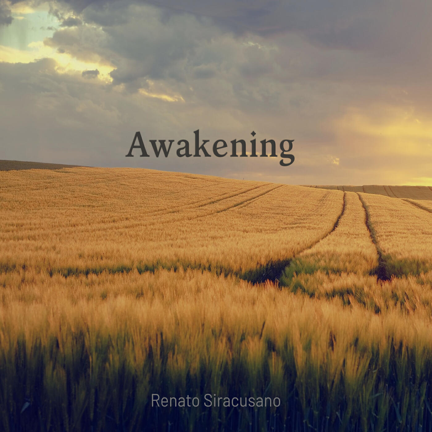 Релиз Awakening