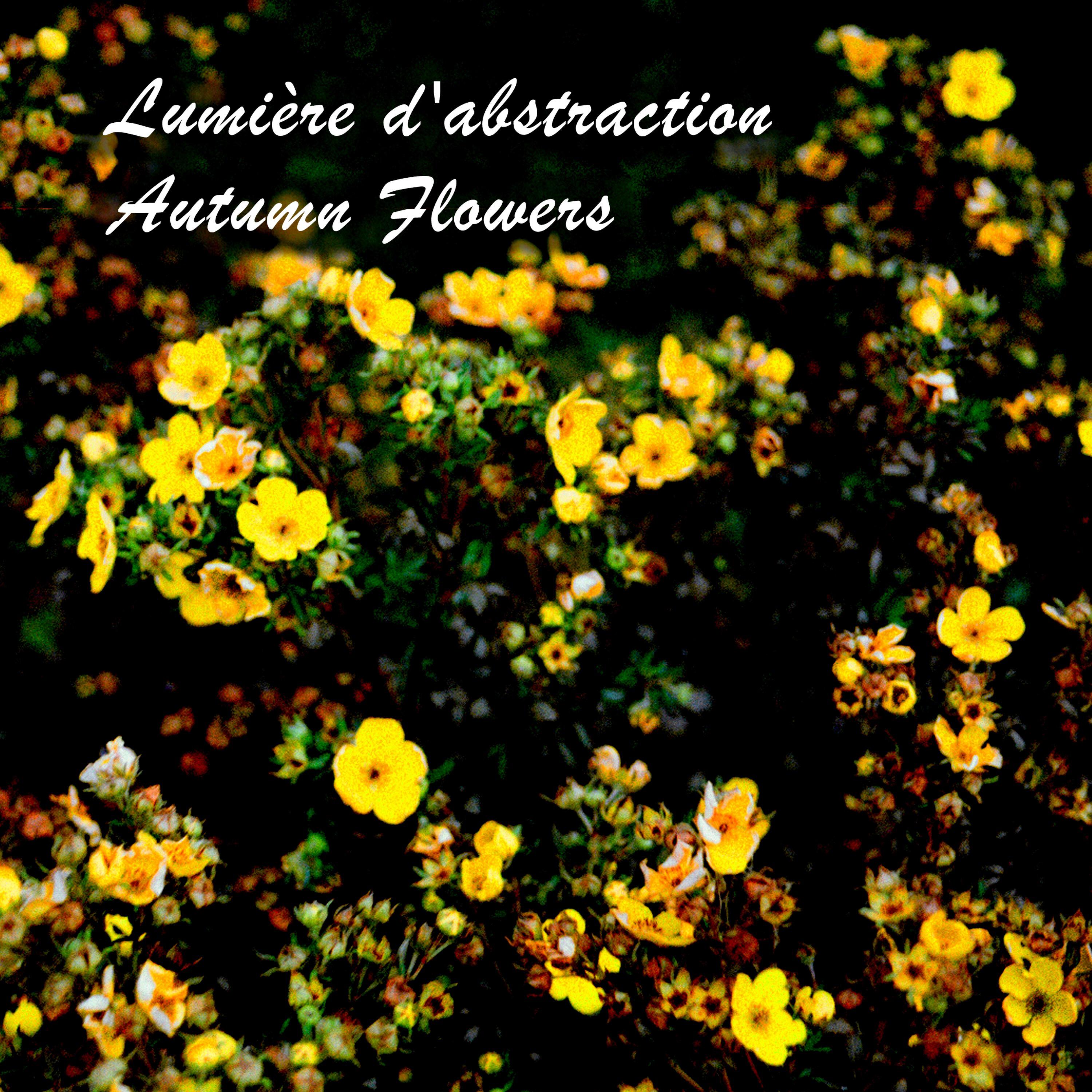Lumière D'abstraction