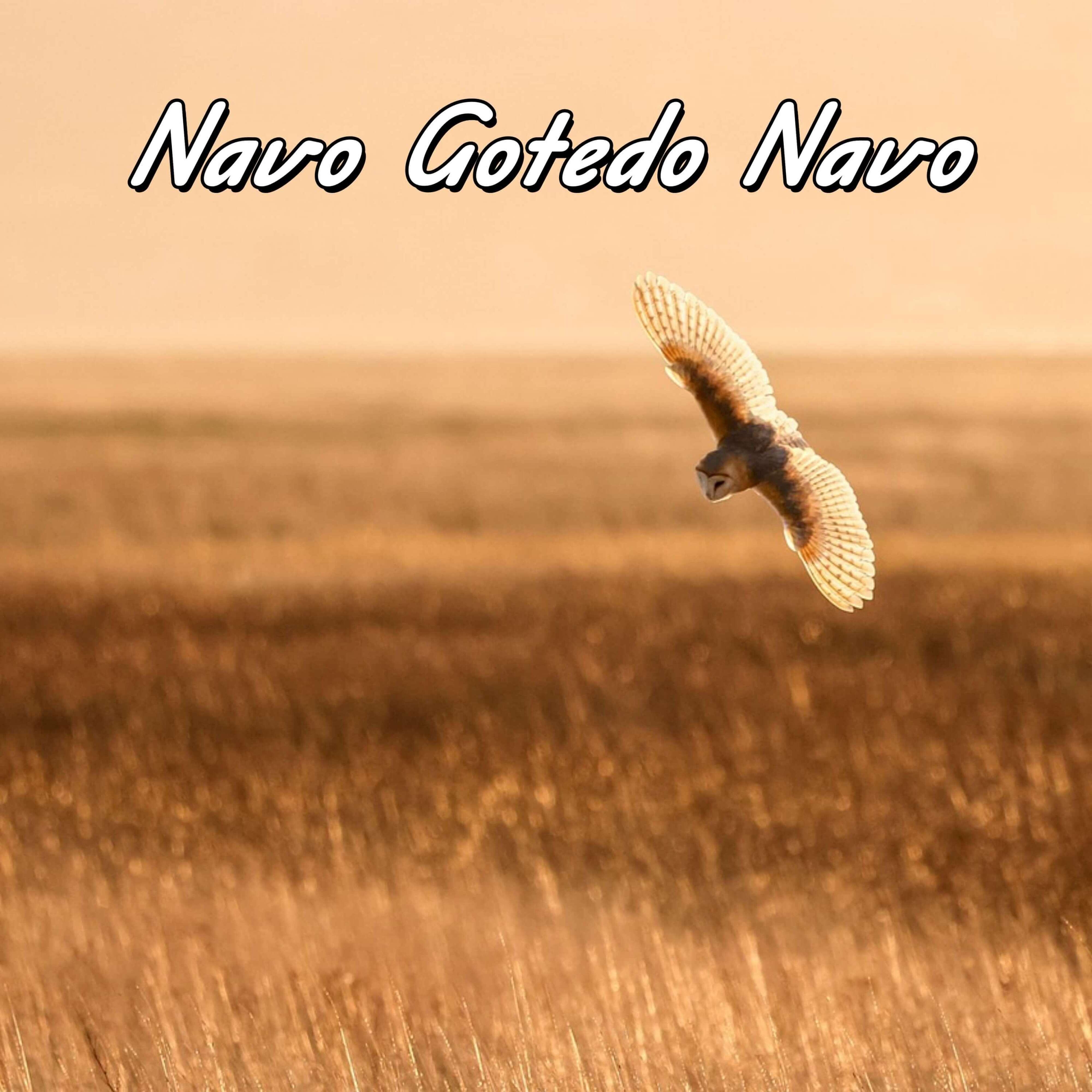 Релиз Navo Gotedo Navo