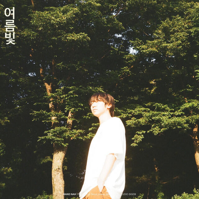 Релиз 여름빛