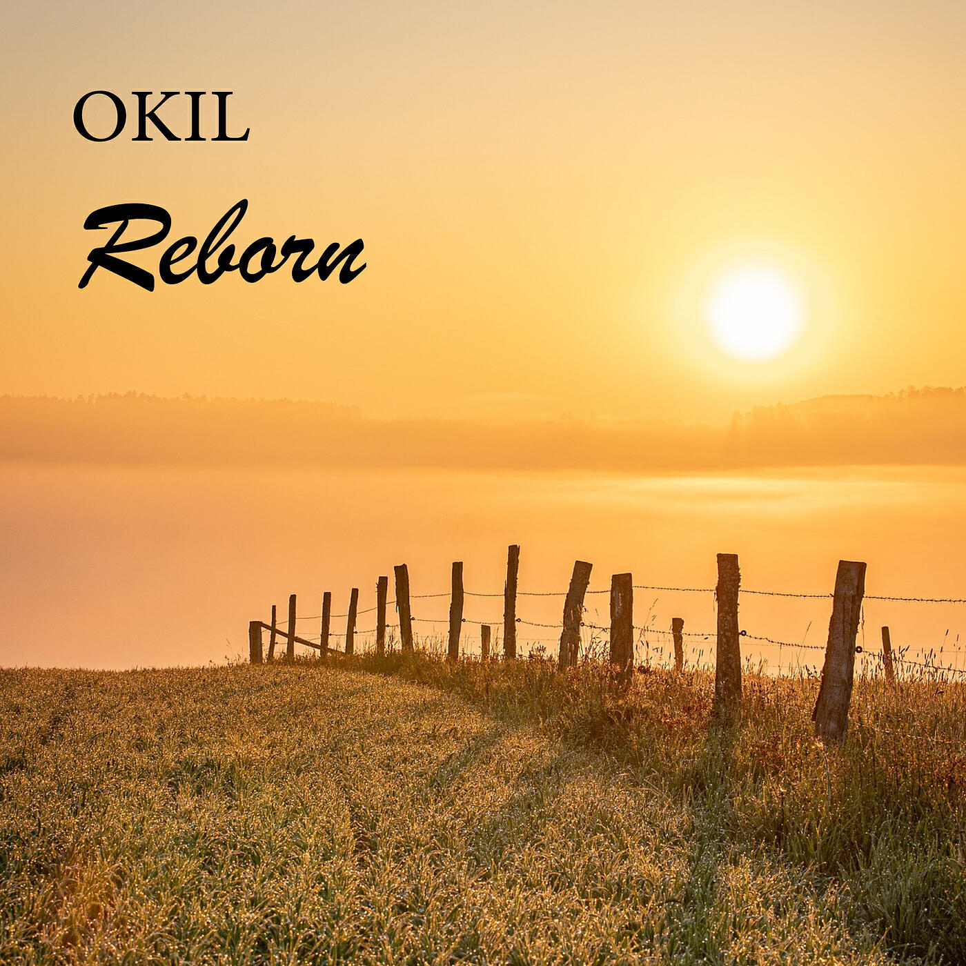 Релиз Reborn
