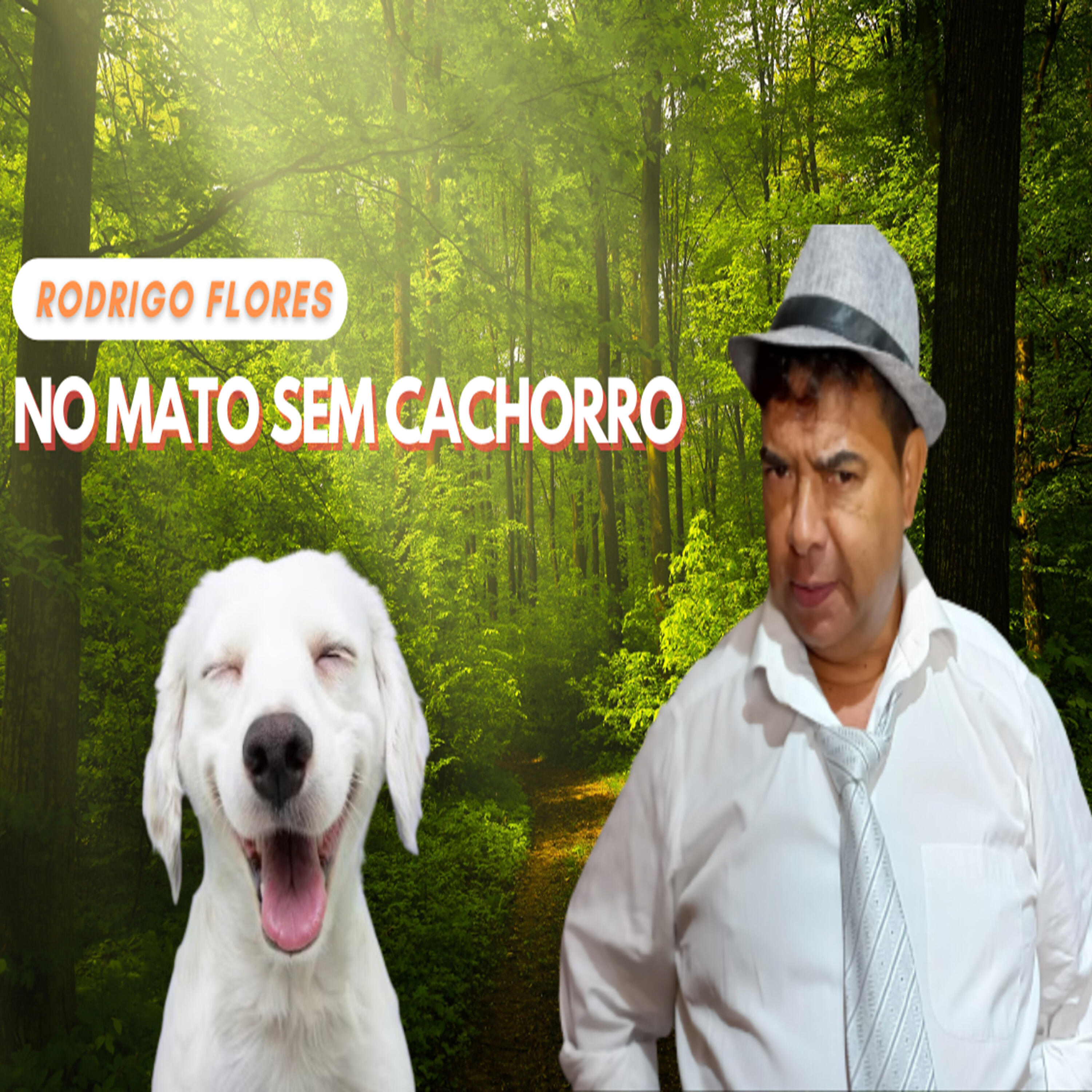 Релиз No Mato Sem Cachorro