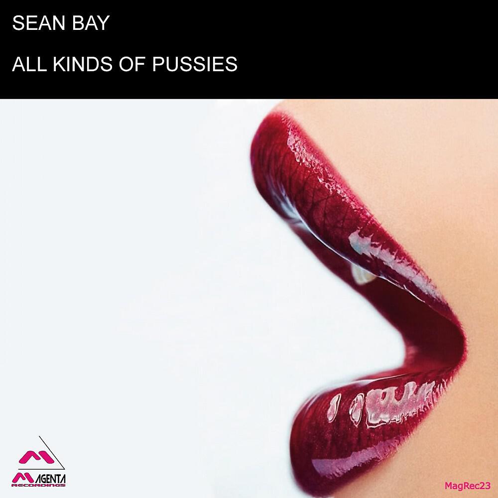 Релиз All Kinds of Pussies