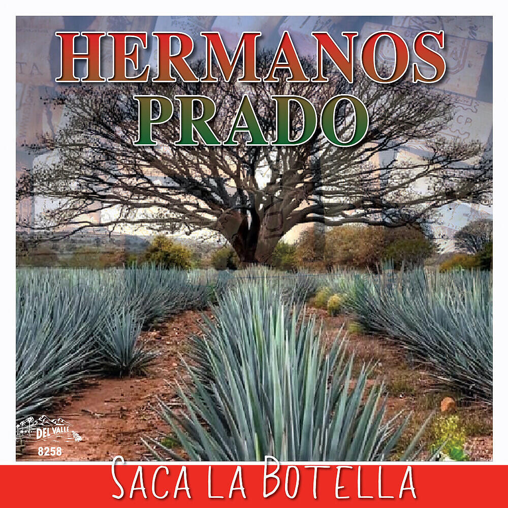 Релиз Saca La Botella