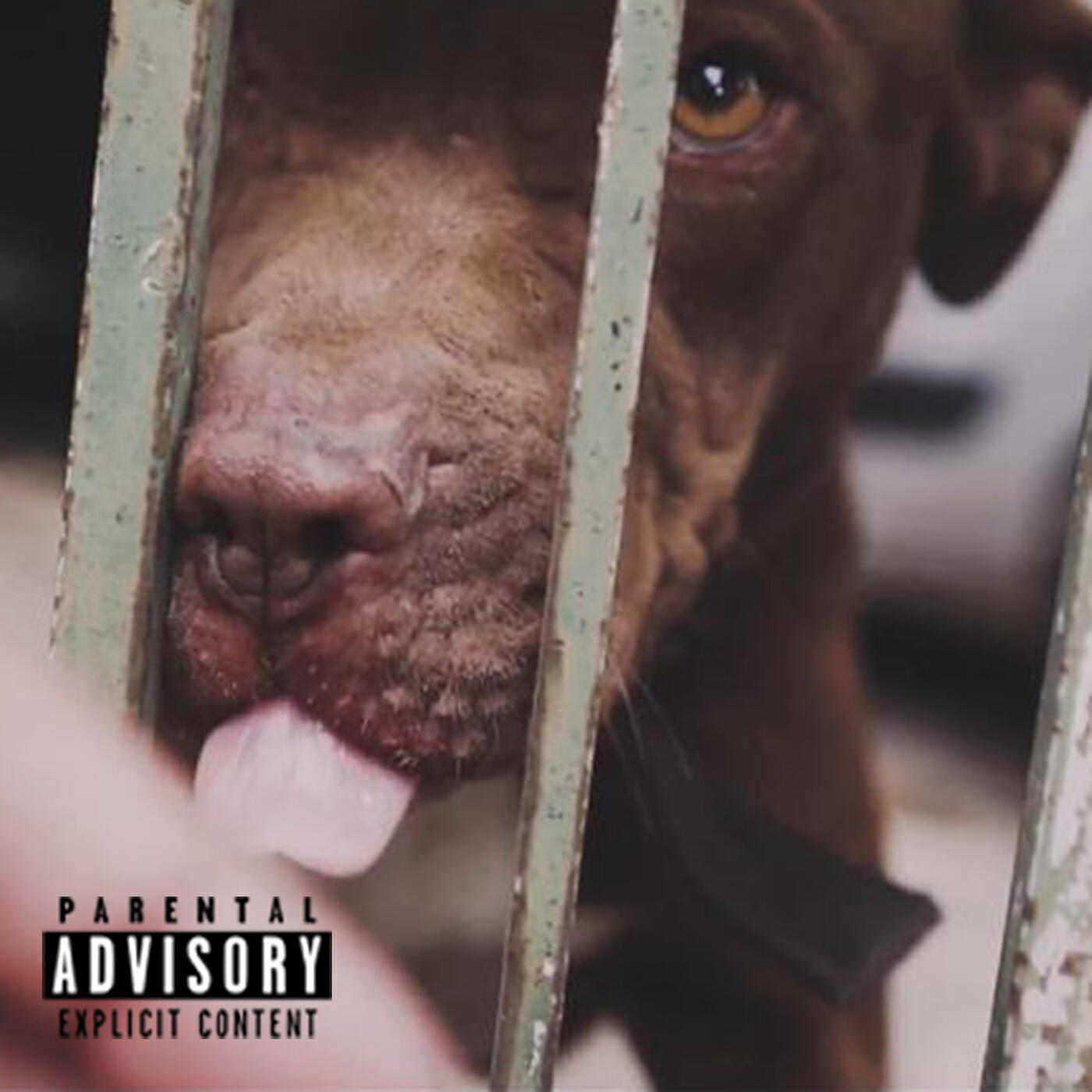 Релиз Volado EP