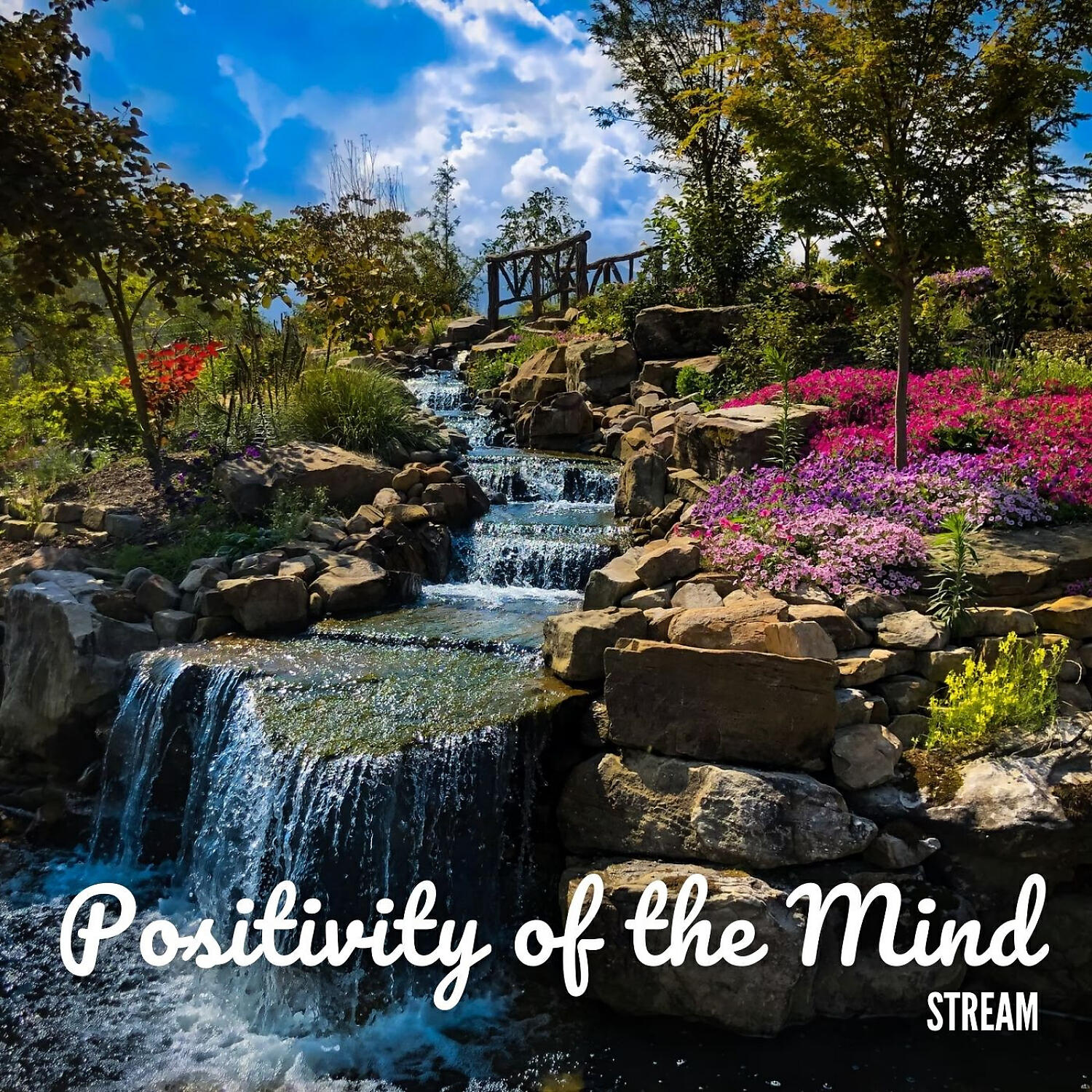 Релиз Stream: Positivity of the Mind