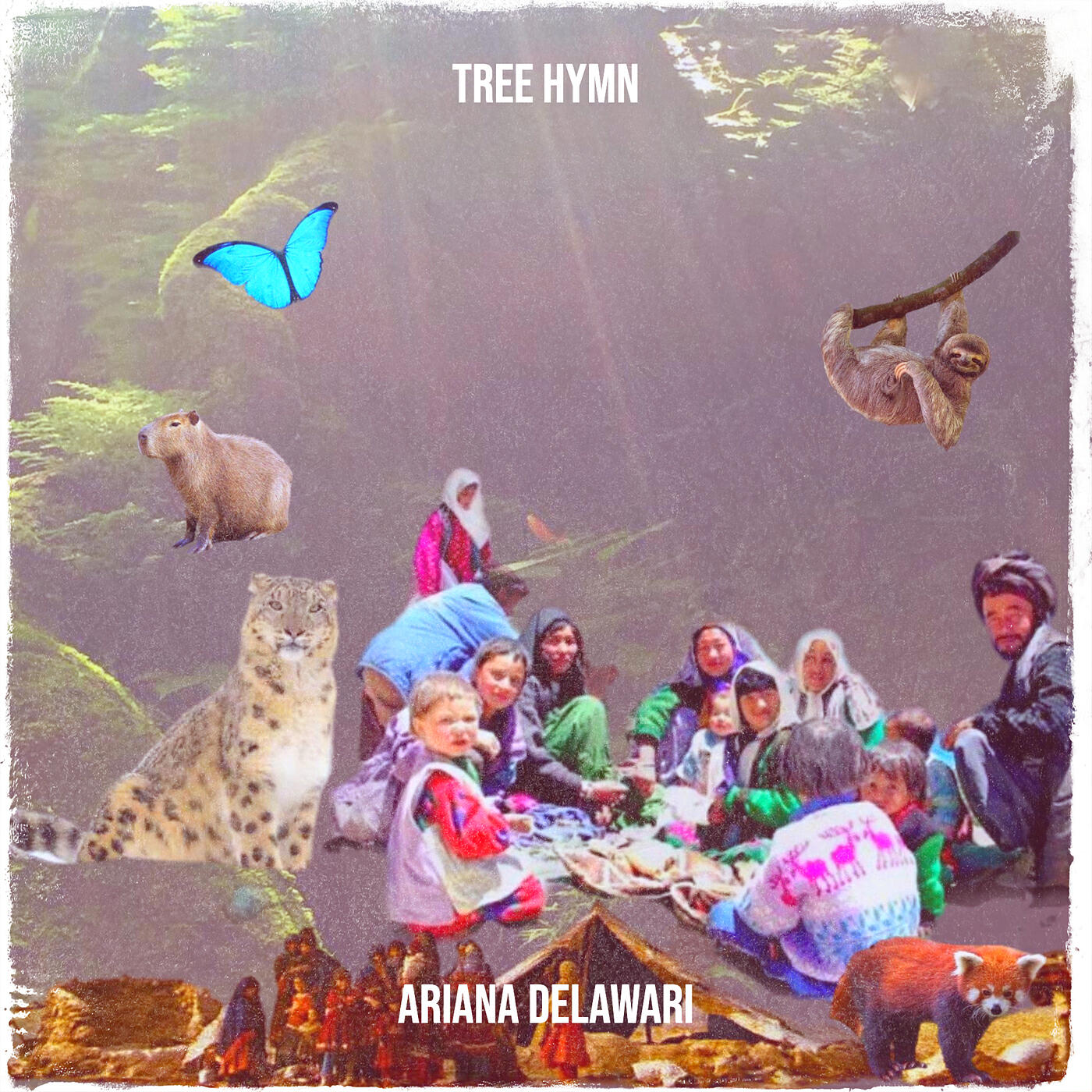 Релиз Tree Hymn