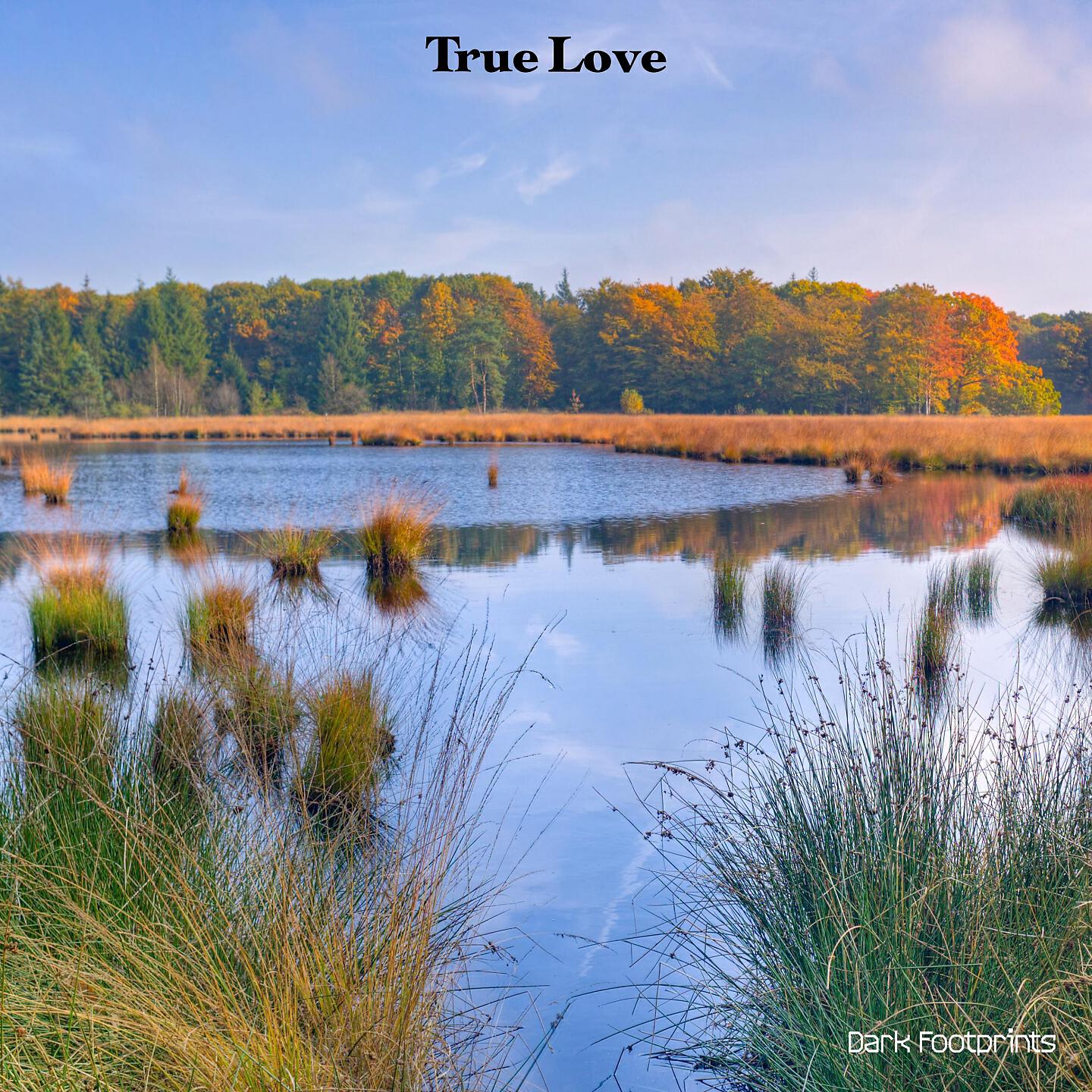 Постер альбома True Love