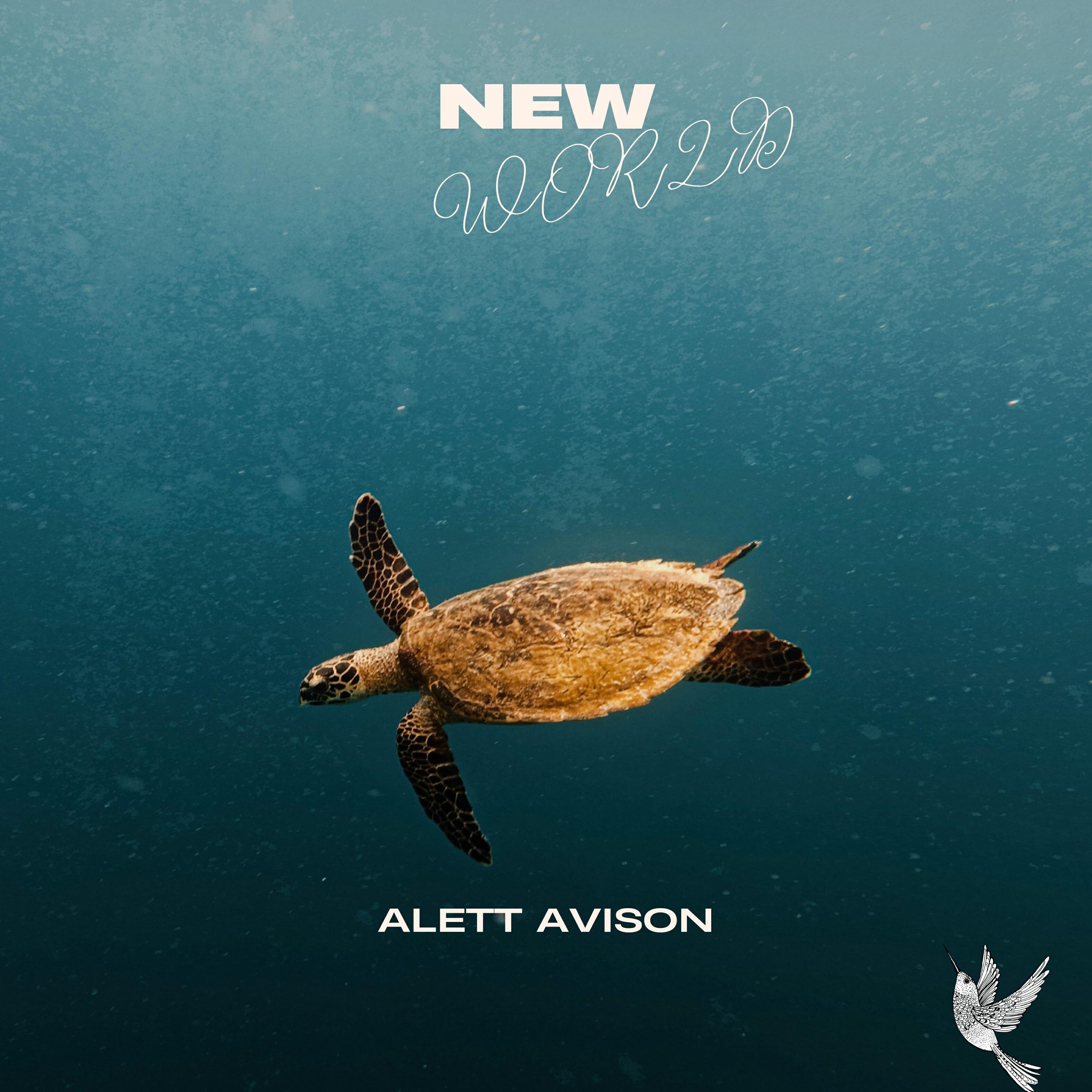 Релиз New World