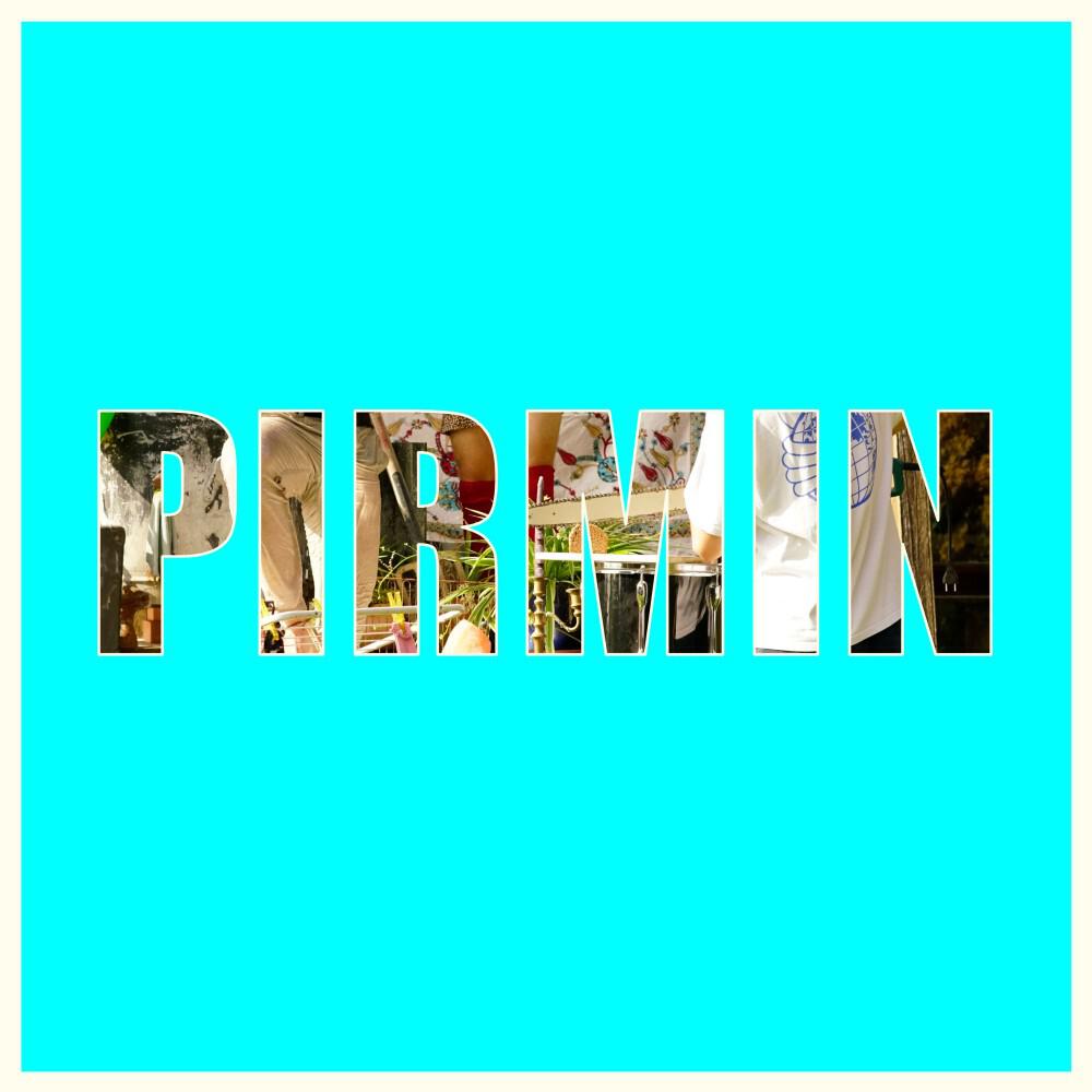 Релиз Pirmin