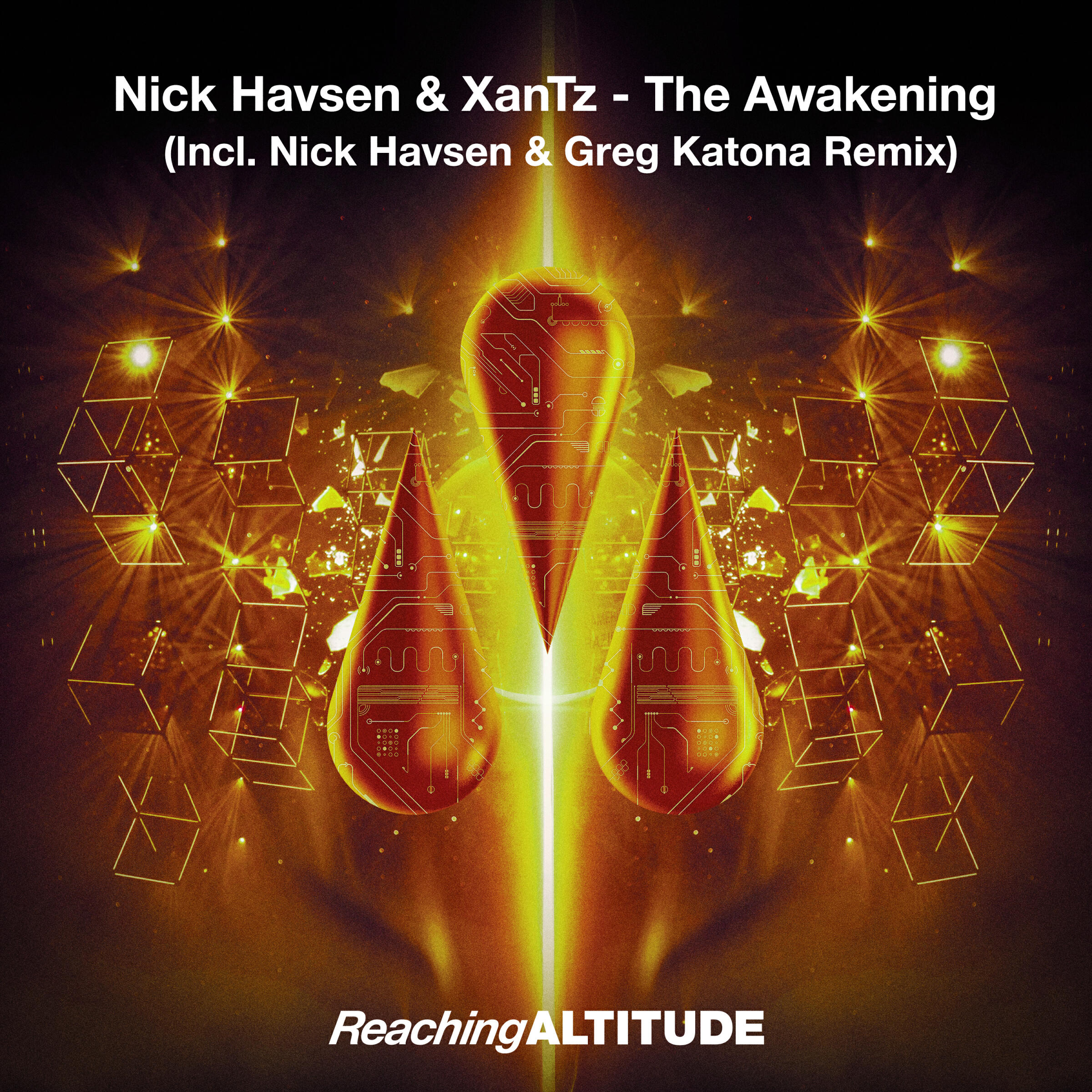 Релиз The Awakening