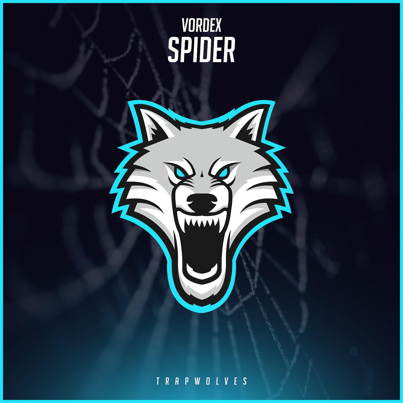 Релиз Spider