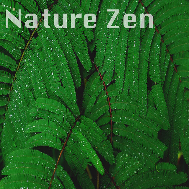 Релиз Nature Zen