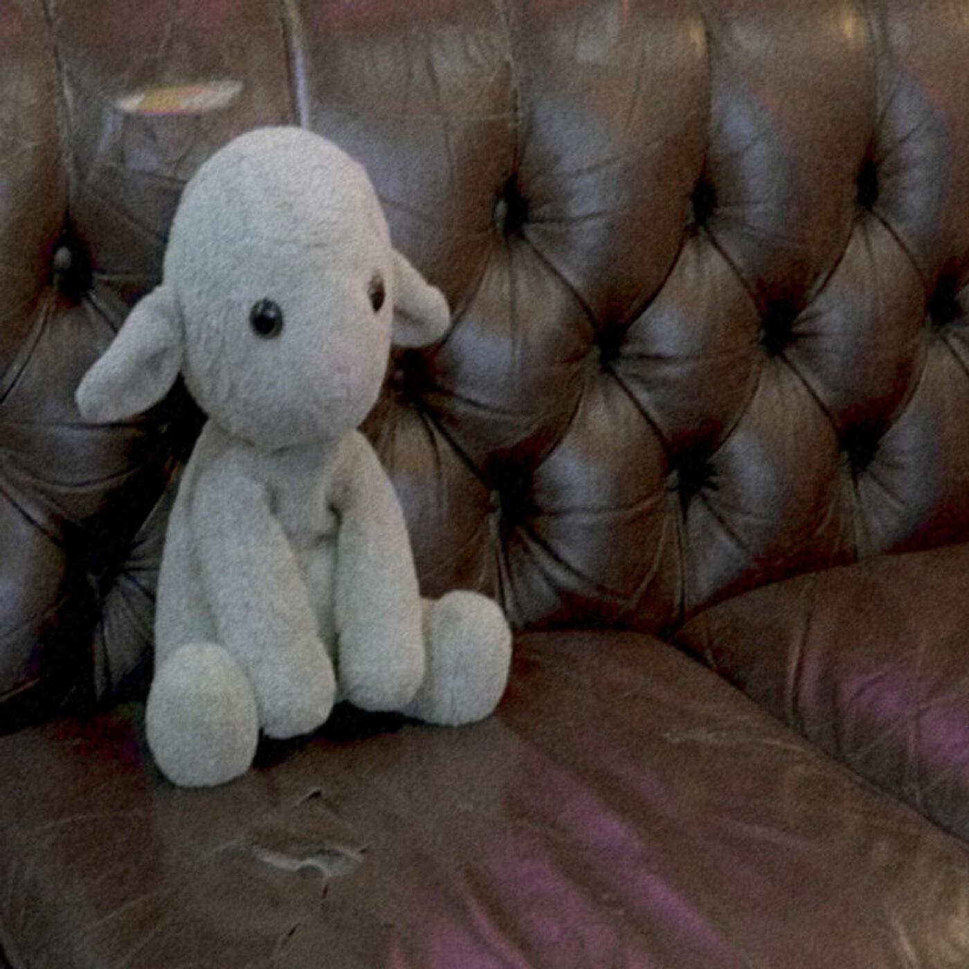 a sorry lamb